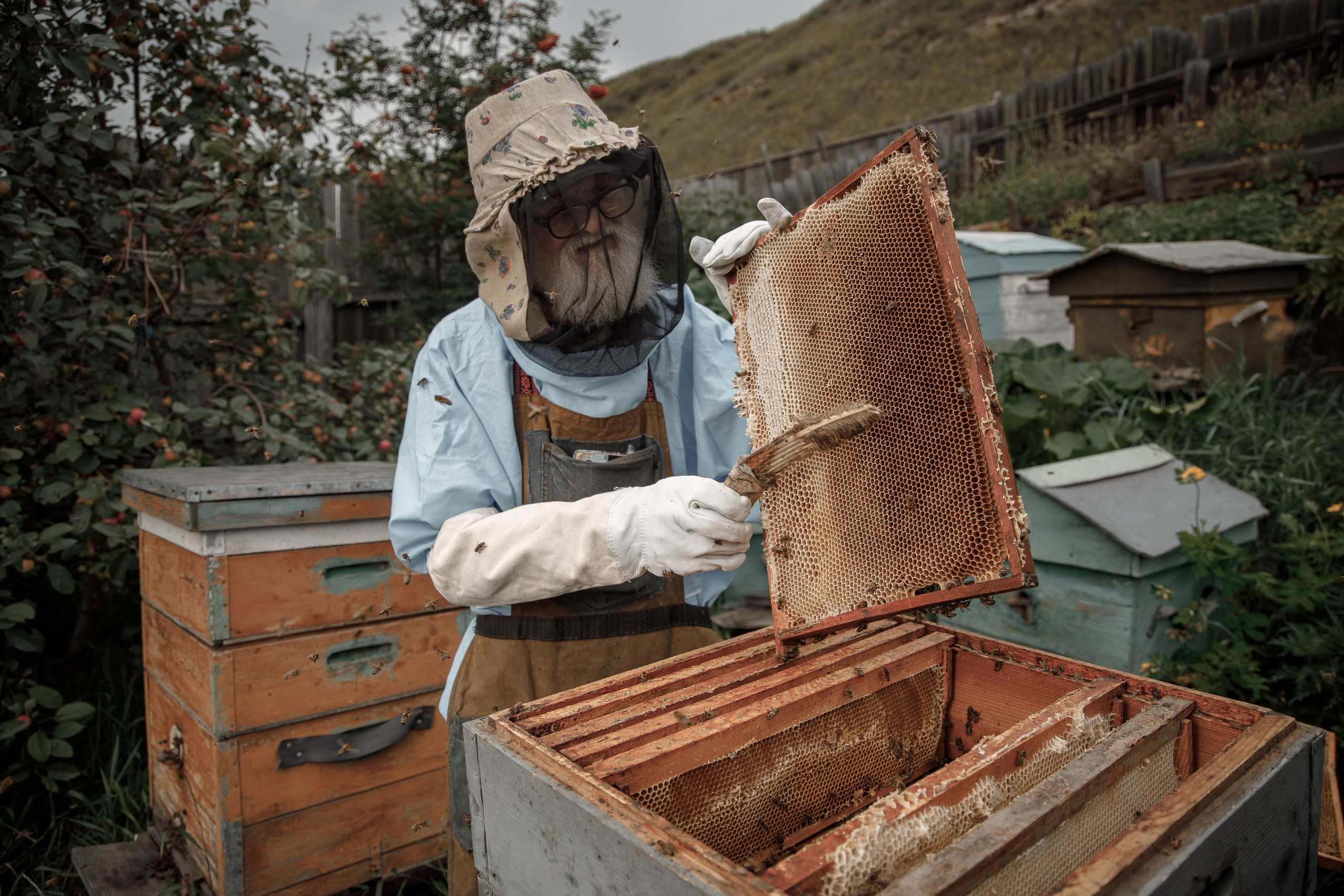Верность делу. Фотограф в Красноярске Нерозя Александр. Пейзаж, природа, портрет