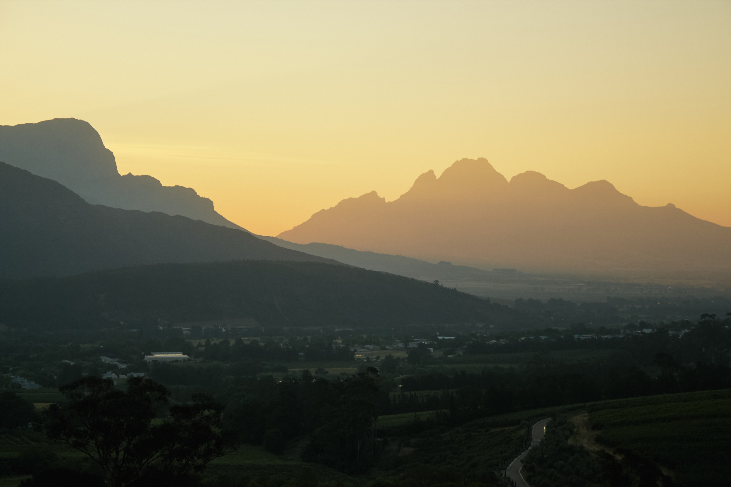 ЮАР. Профессиональный Фотограф во Владимире, в Москве и в Суздале — Полина Романычева