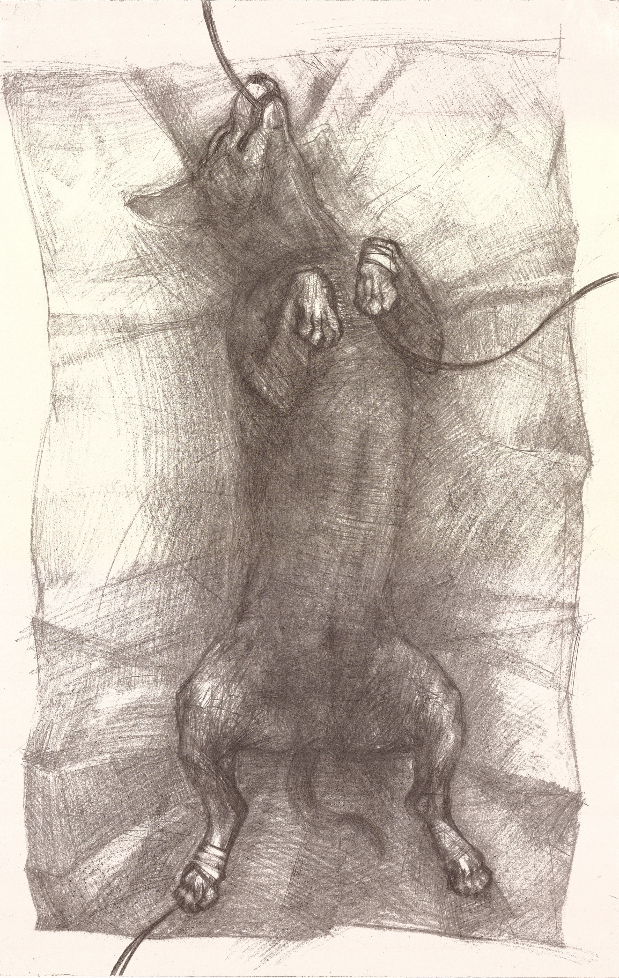 Серия "анестезия". 2018. Бумага, графический карандаш.