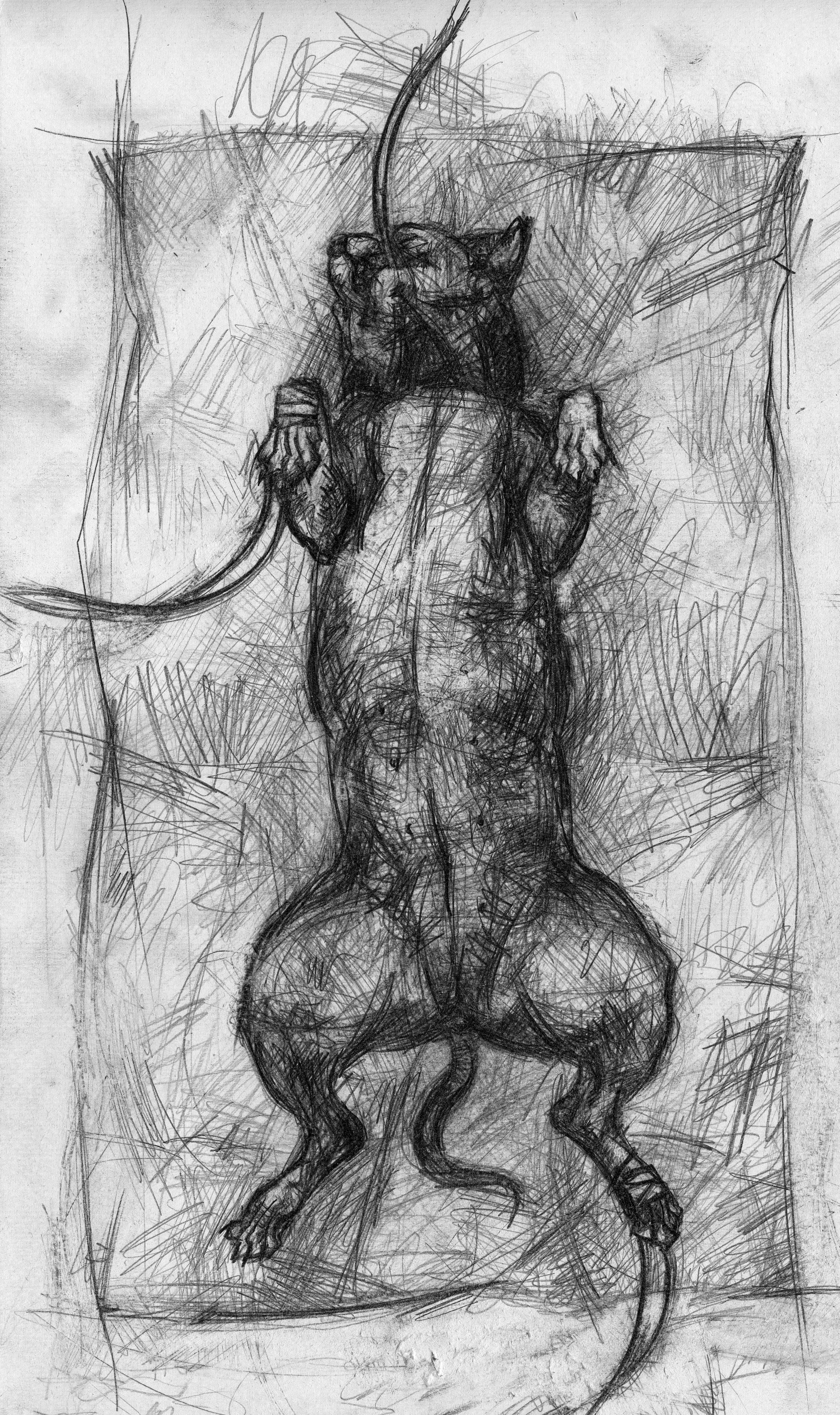 Серия "анестезия". 2018. Бумага, графический карандаш.