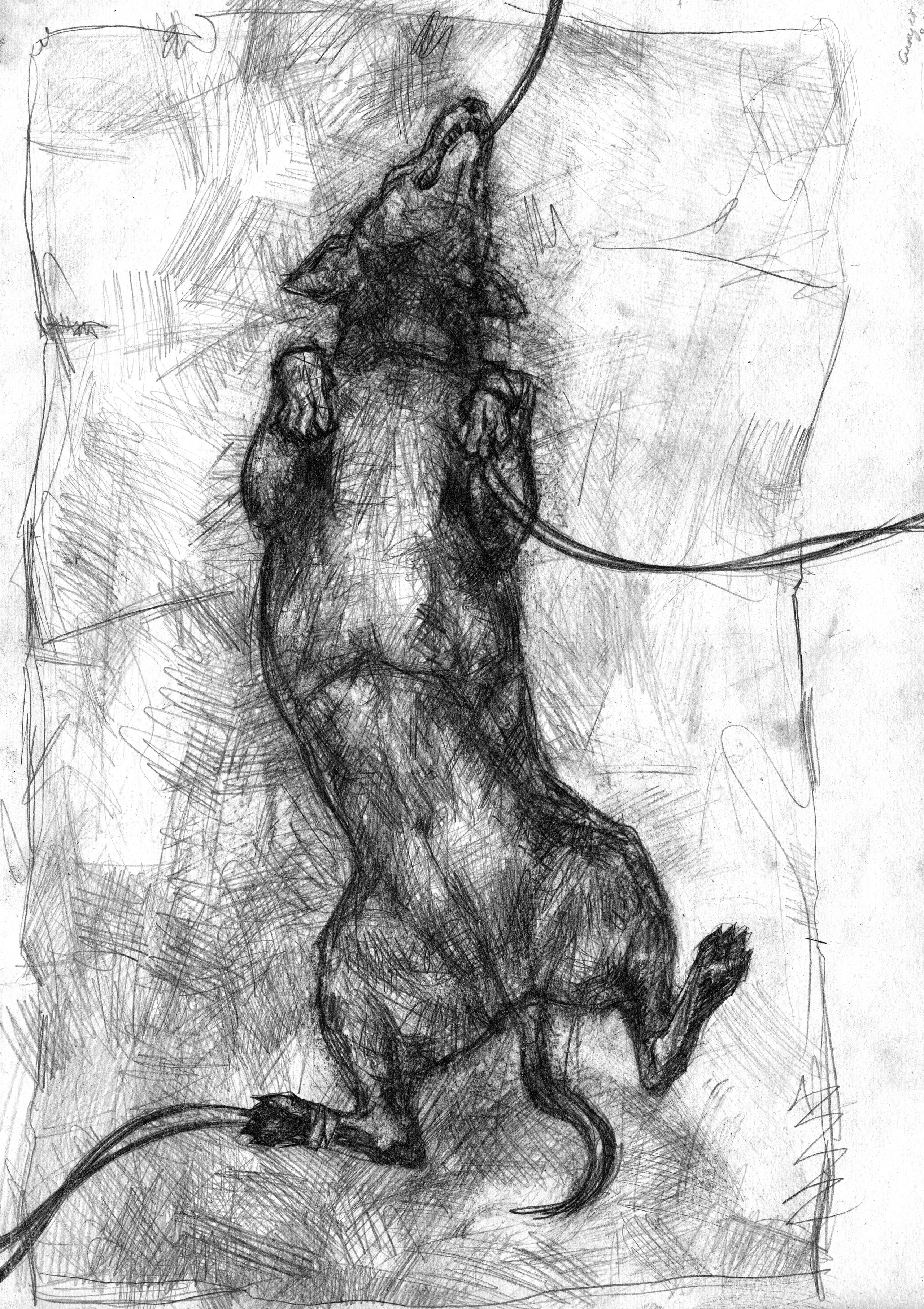 Серия "анестезия". 2018. Бумага, графический карандаш.