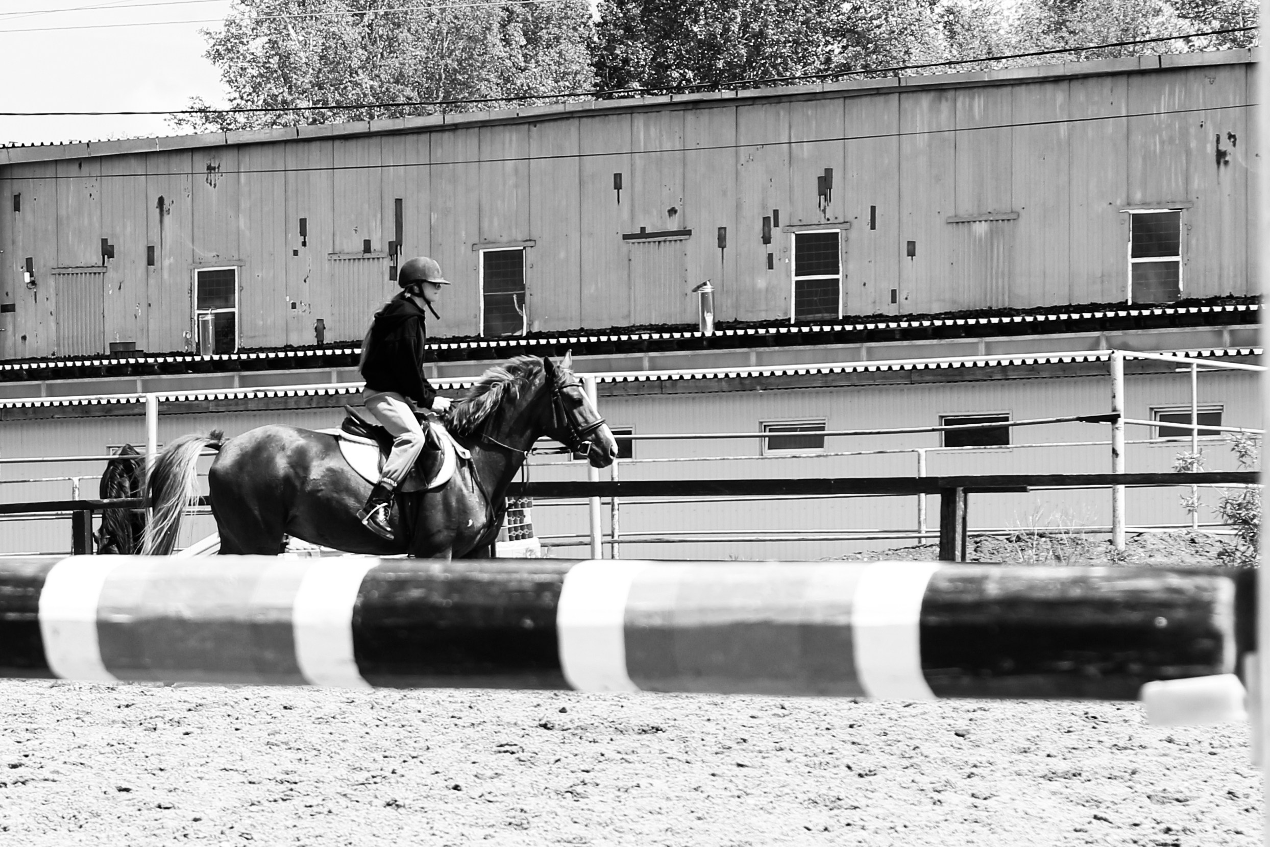 Лошади «Каскад» и «Брилиант». Алиса Томшина — Фотограф / Видеограф