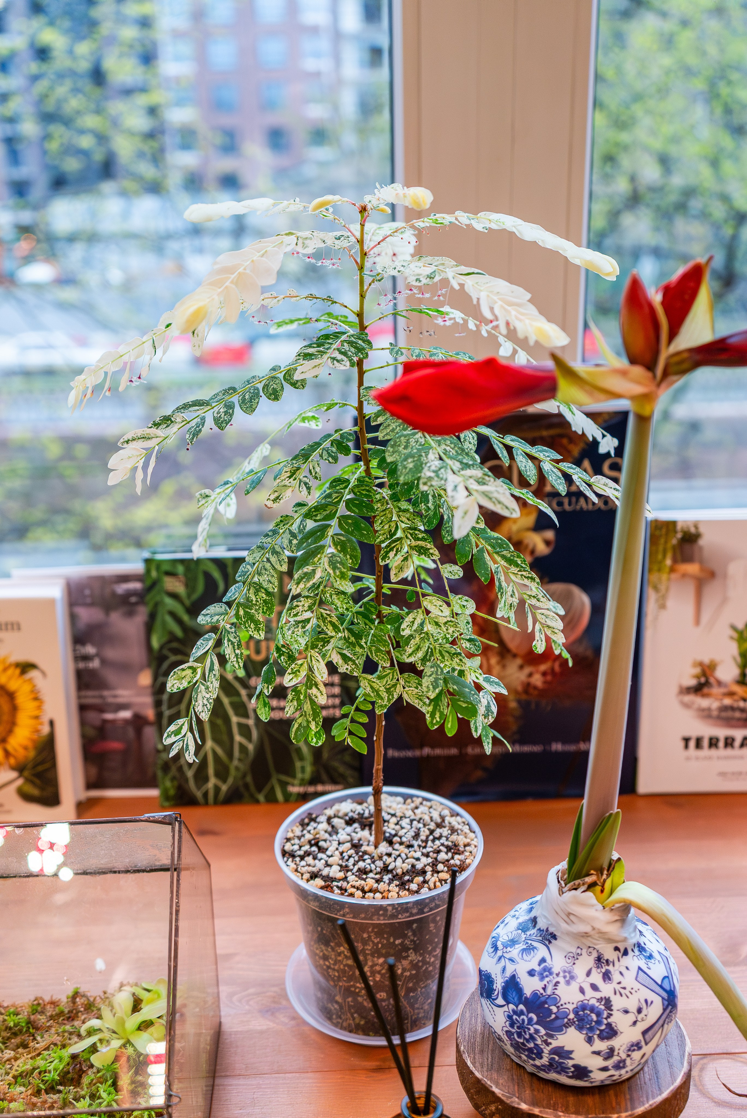 Make more plants. Александра Куликова фотограф, Москва