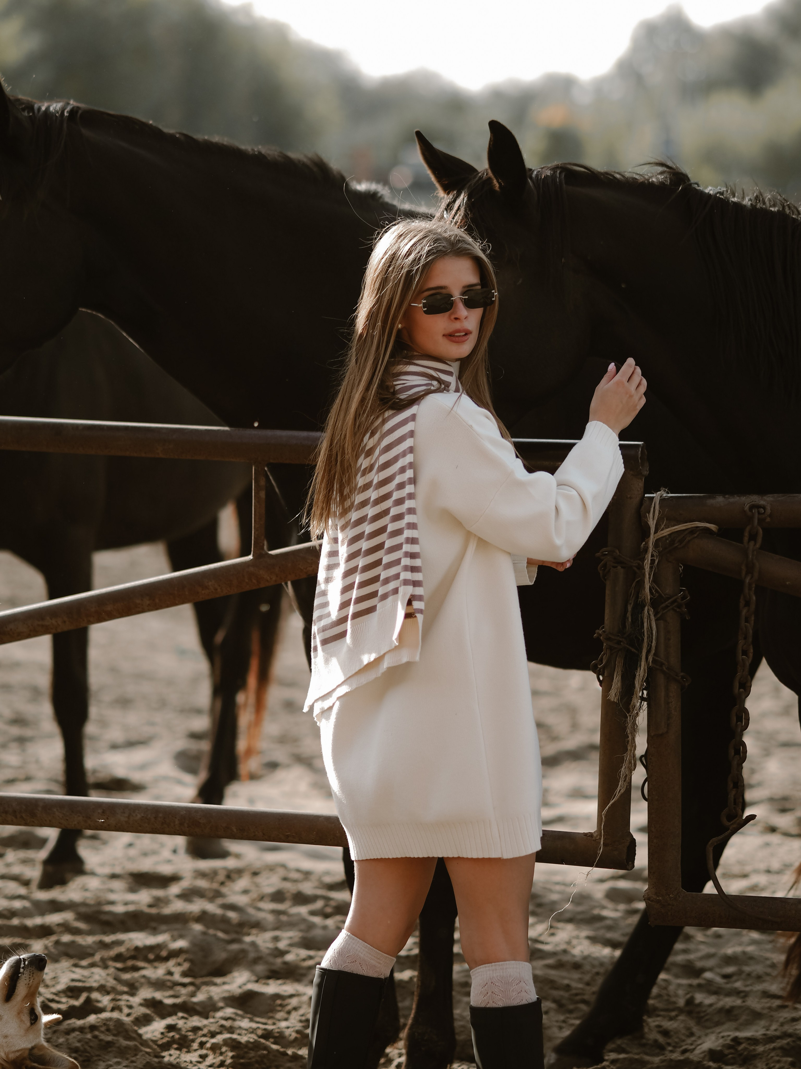 Фотопроект с лошадьми. Фотограф Рязань. Семейный Свадебный фотограф