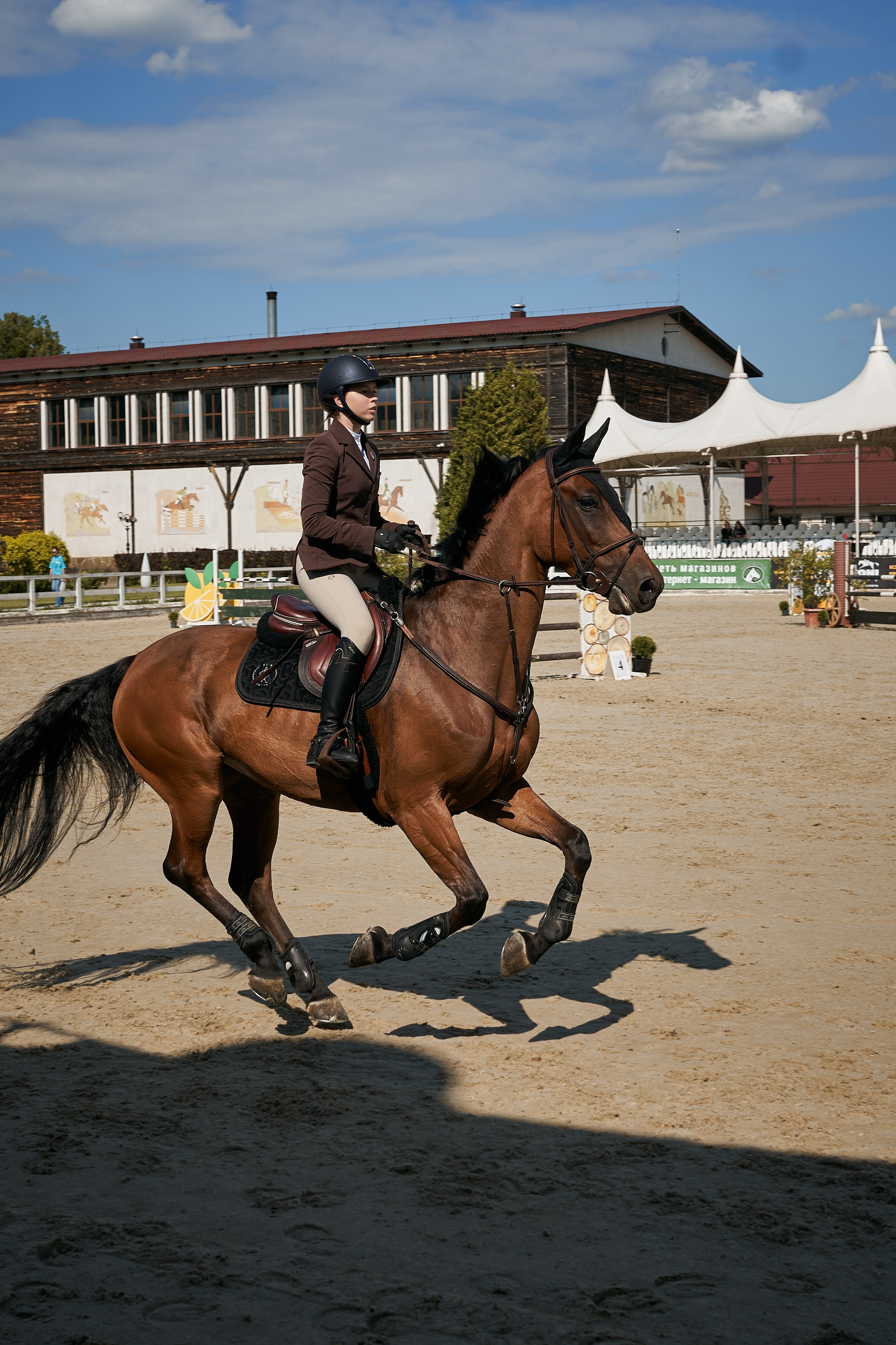 Алиса и Кон Челла В. Фотосессии с лошадьми в Москве, Новосибирске