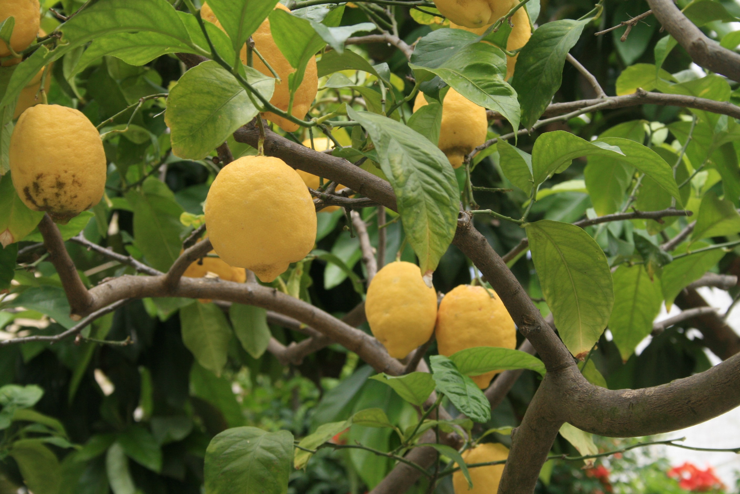 ИТАЛИЯ. Портретный и репортажный фотограф Наталья Горобец