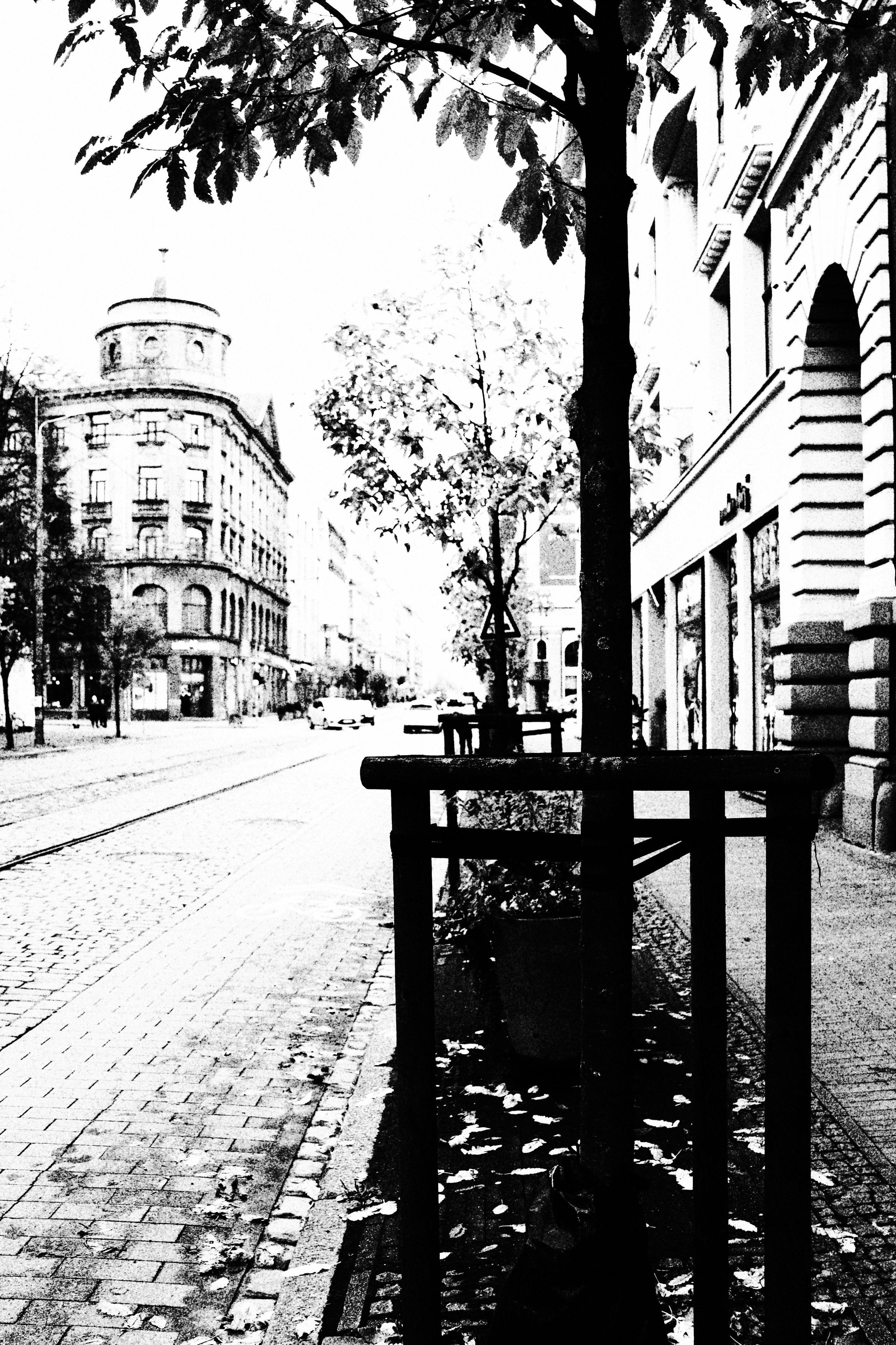 Riga. Juliarubis.com