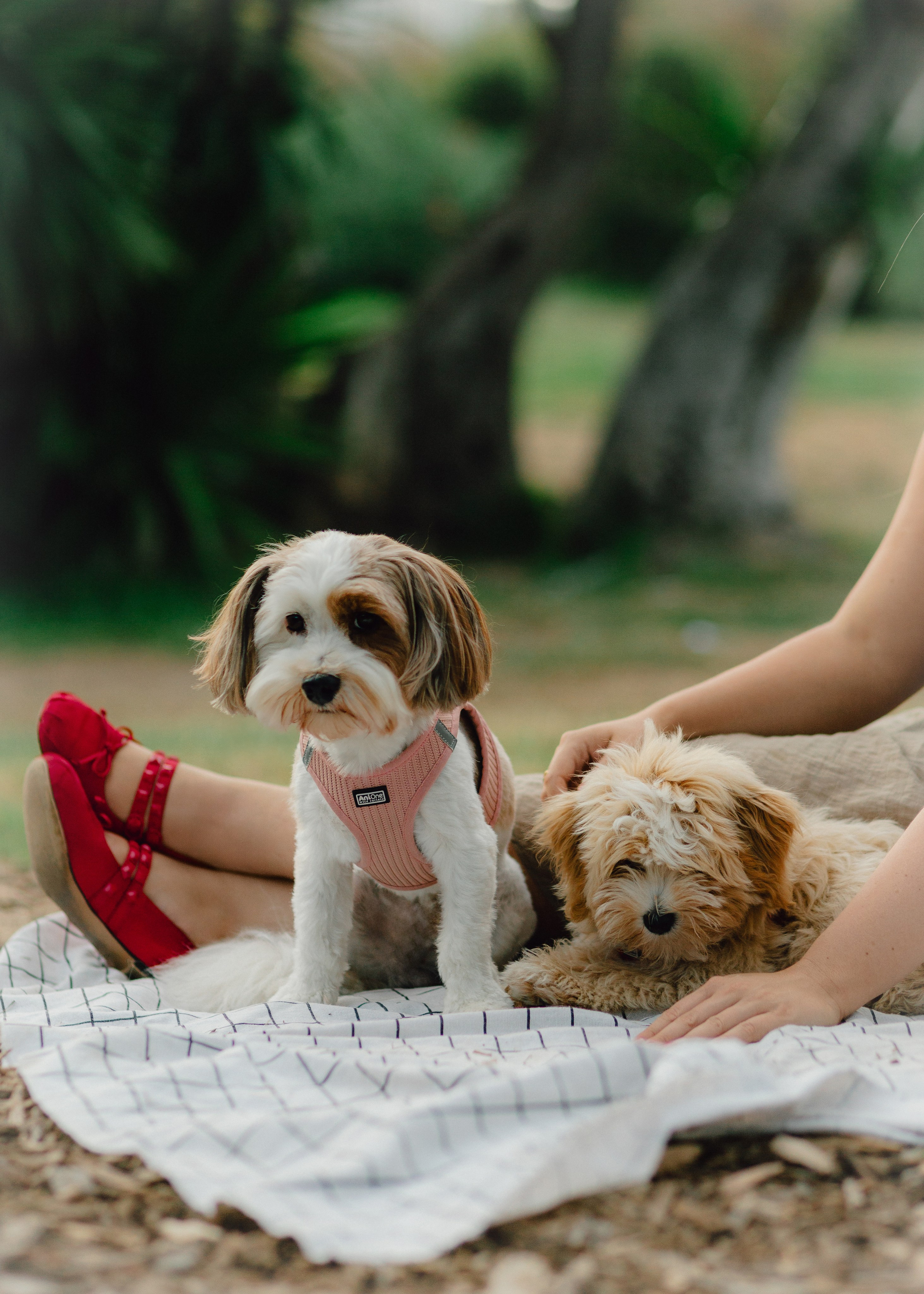 J&J Family. Barbara Isaeva