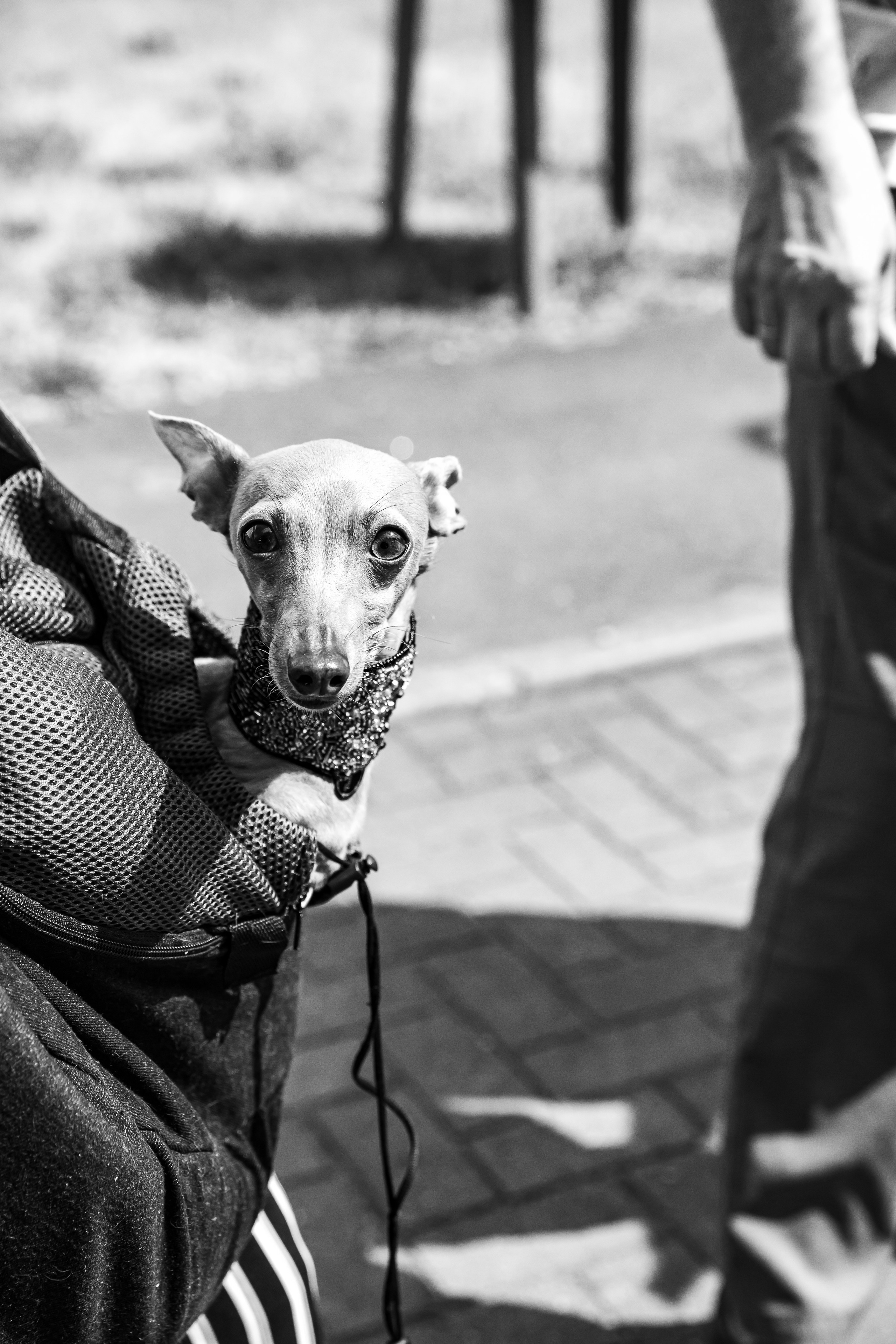 Городки 2023. Семейный и портретный фотограф в Санкт-Петербурге Ольга Станкова