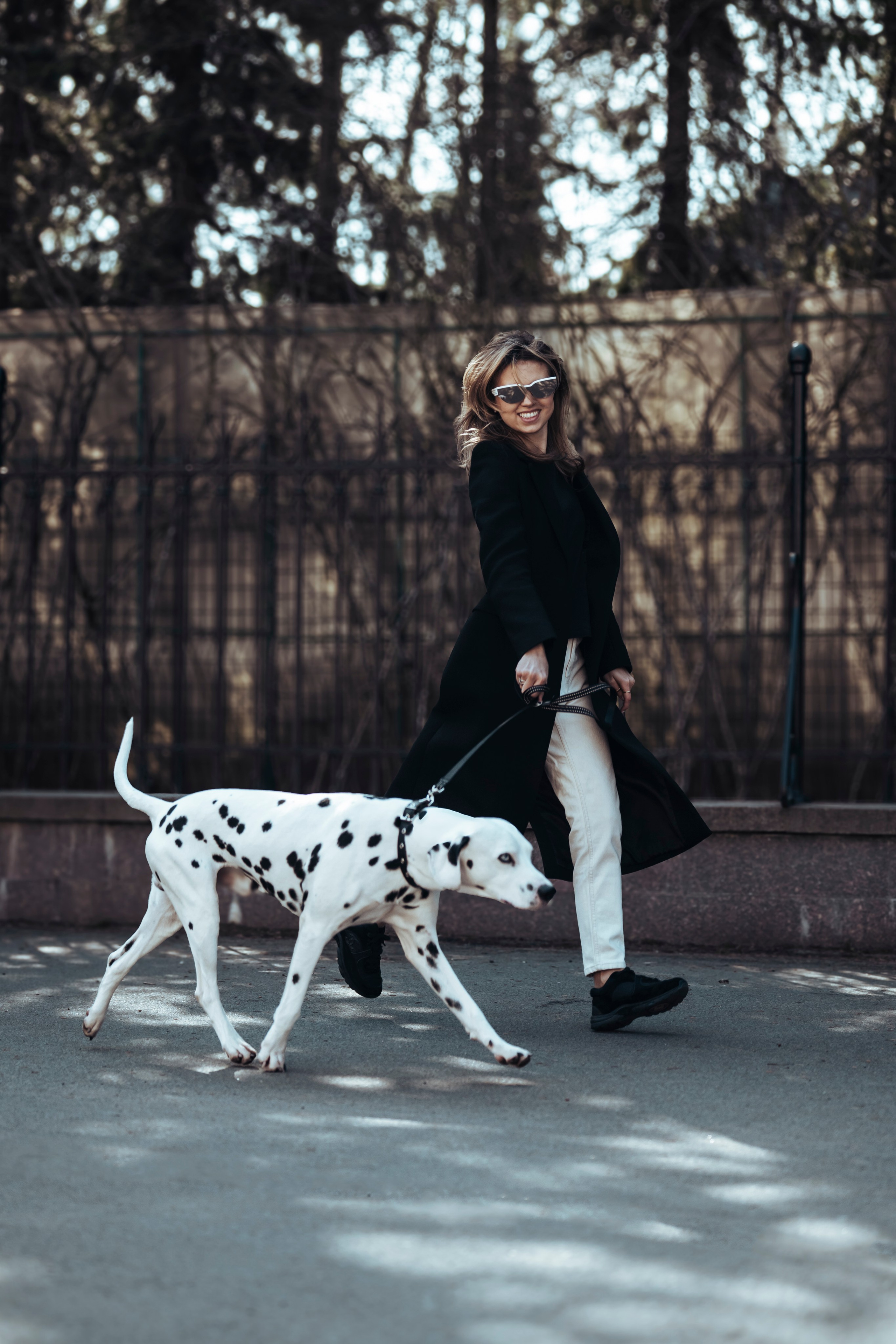 DOGIGO на прогулке. Фотограф анималист в Санкт-Петербурге Таша Крейв