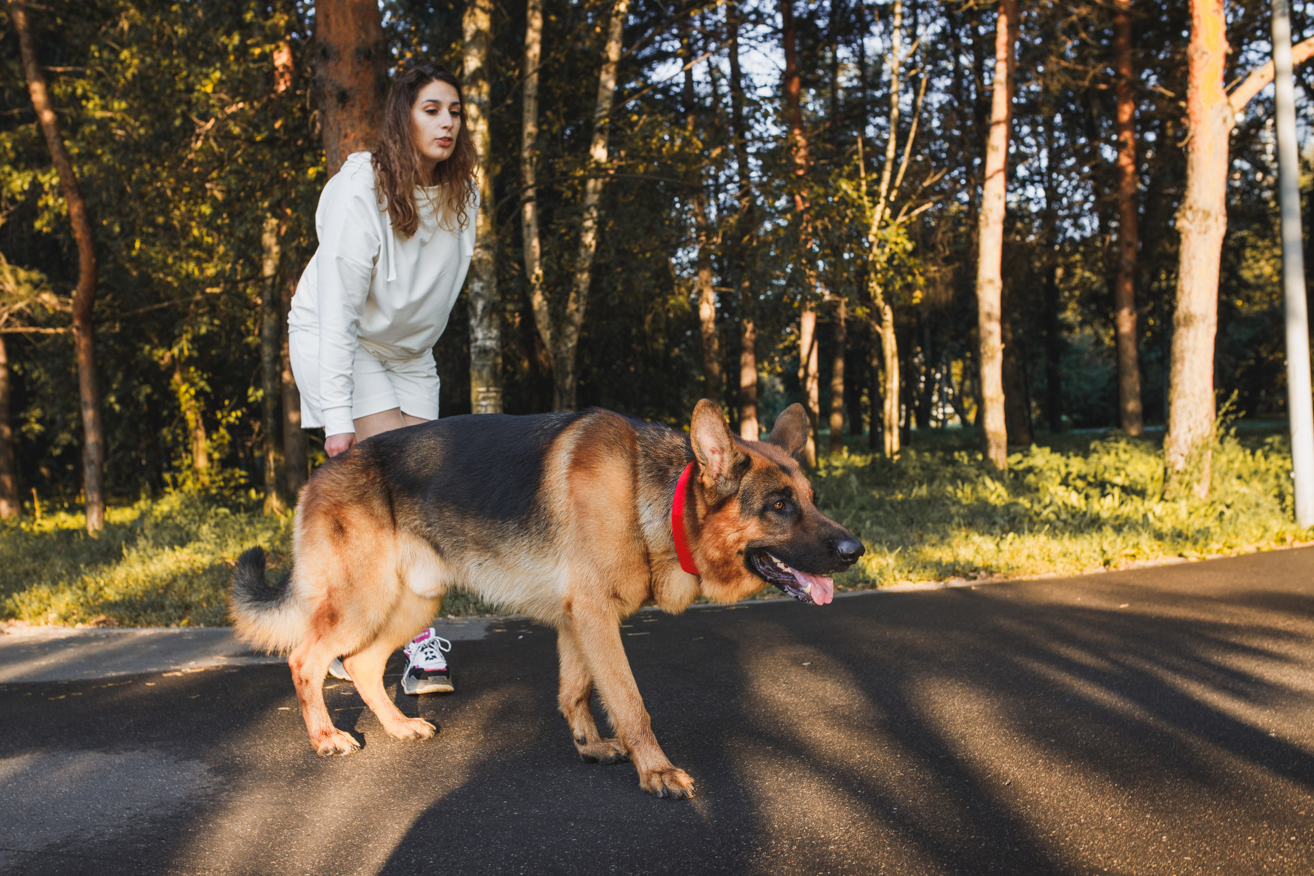 Фотопрогулка молодой девушки и ее собаки летним утром в парке. Семейный и школьный фотограф в Москве Анна Ткач