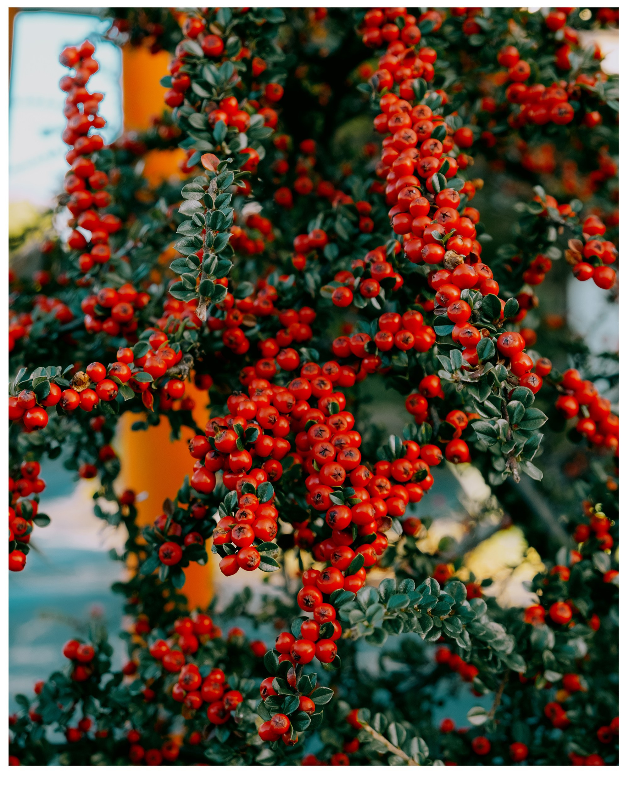 Авторские. -