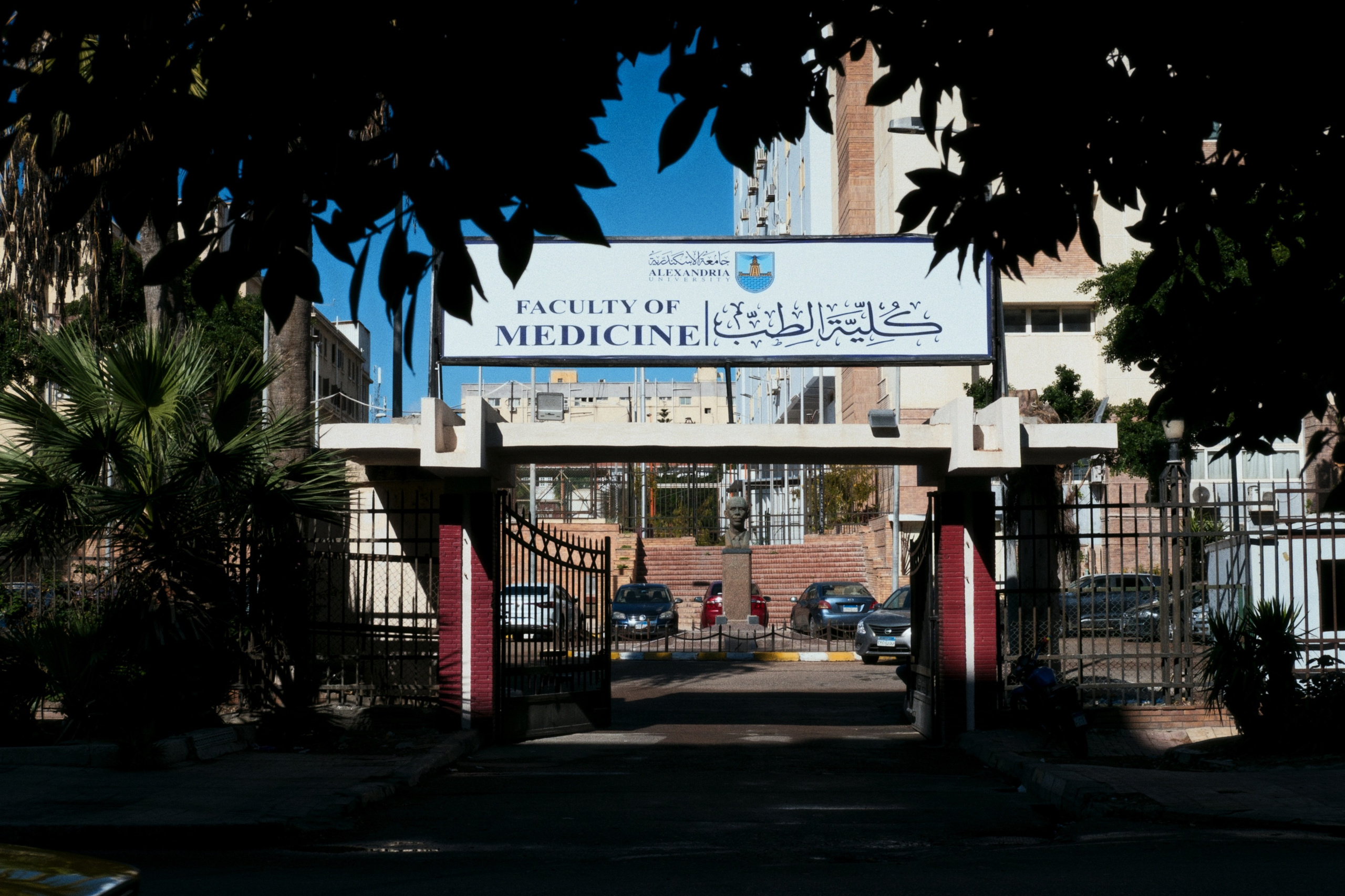 Alexandria / Egypt AW25. Фотограф Юрин Евгений