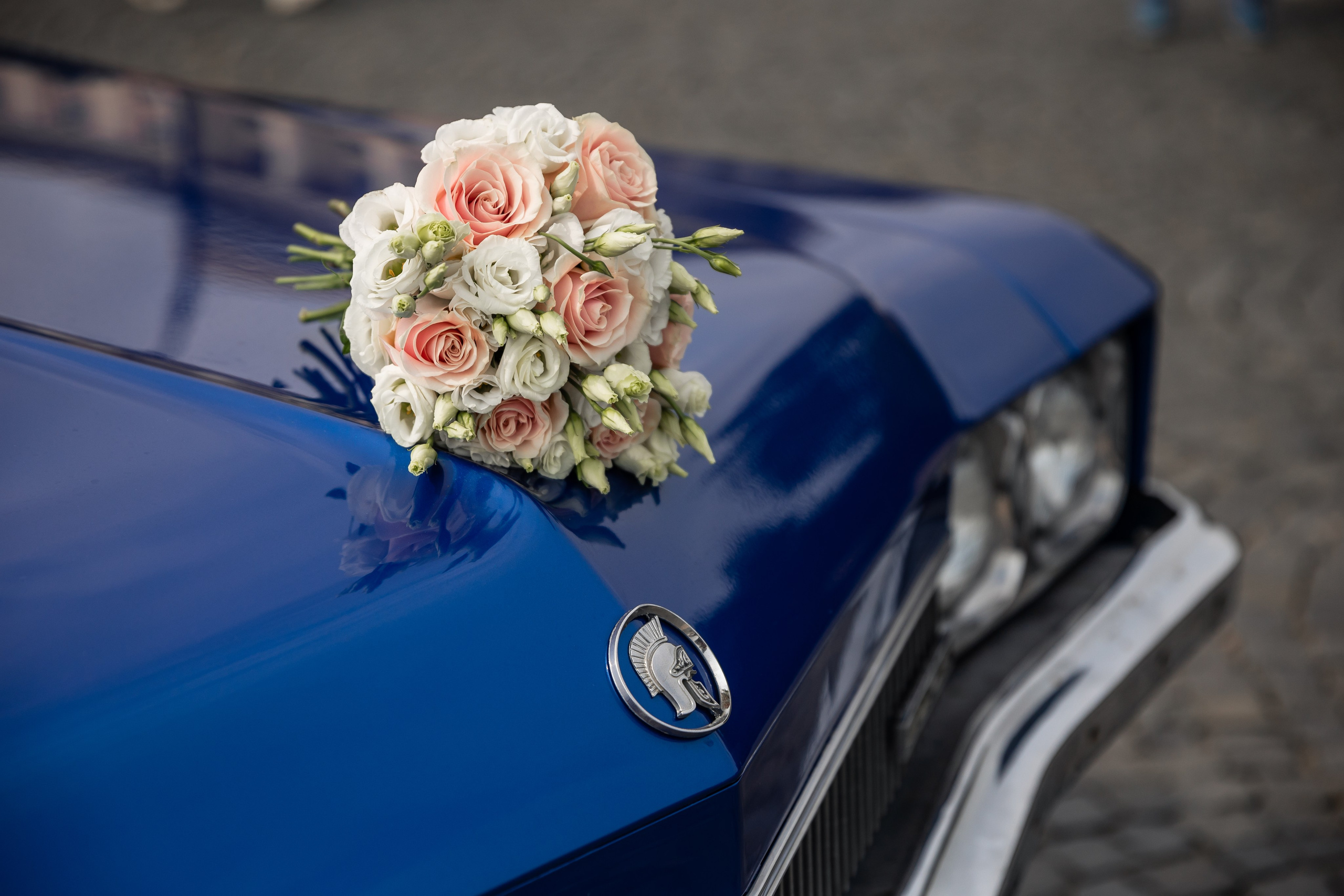 ПРОГУЛКА. Свадебный фотограф Санкт-Петербург Катерина Ширяева