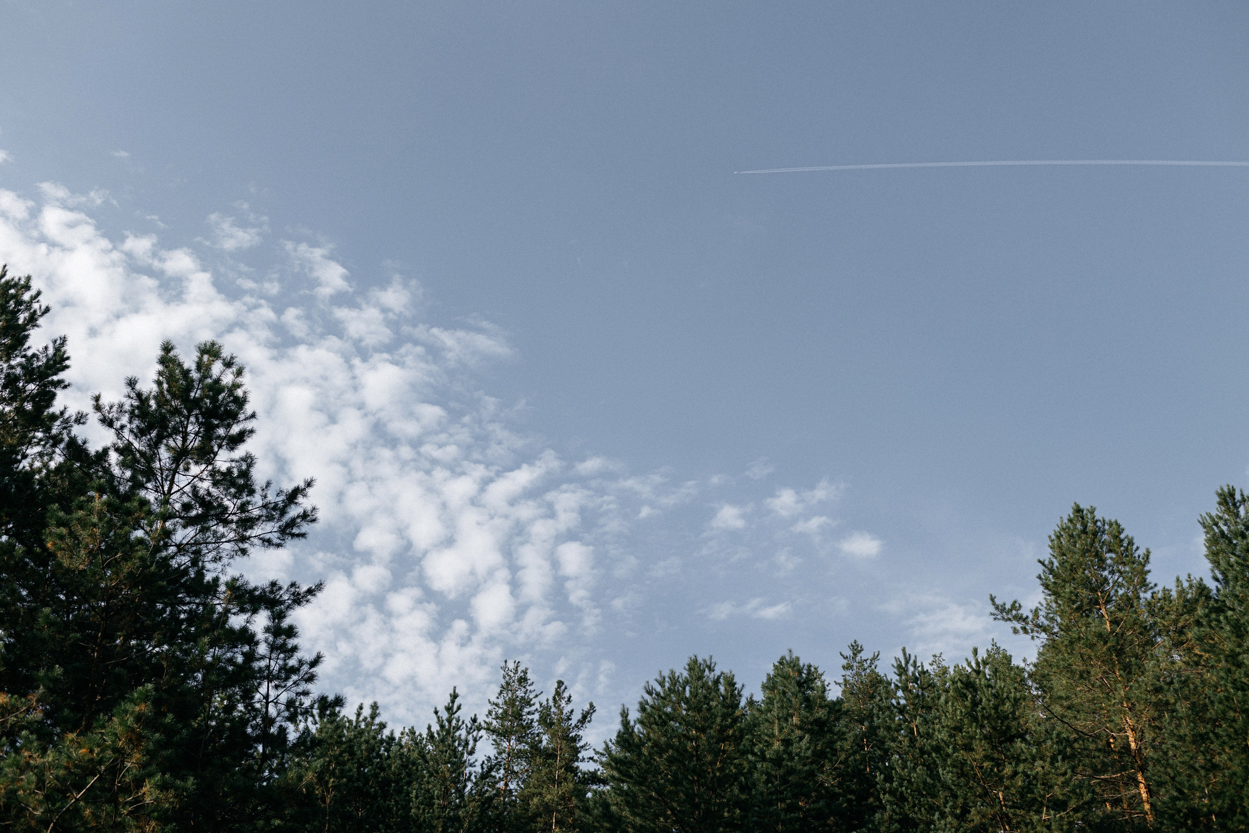 Лето это маленькая жизнь. Свадебный и семейный фотограф в Самаре Посконнова Анна