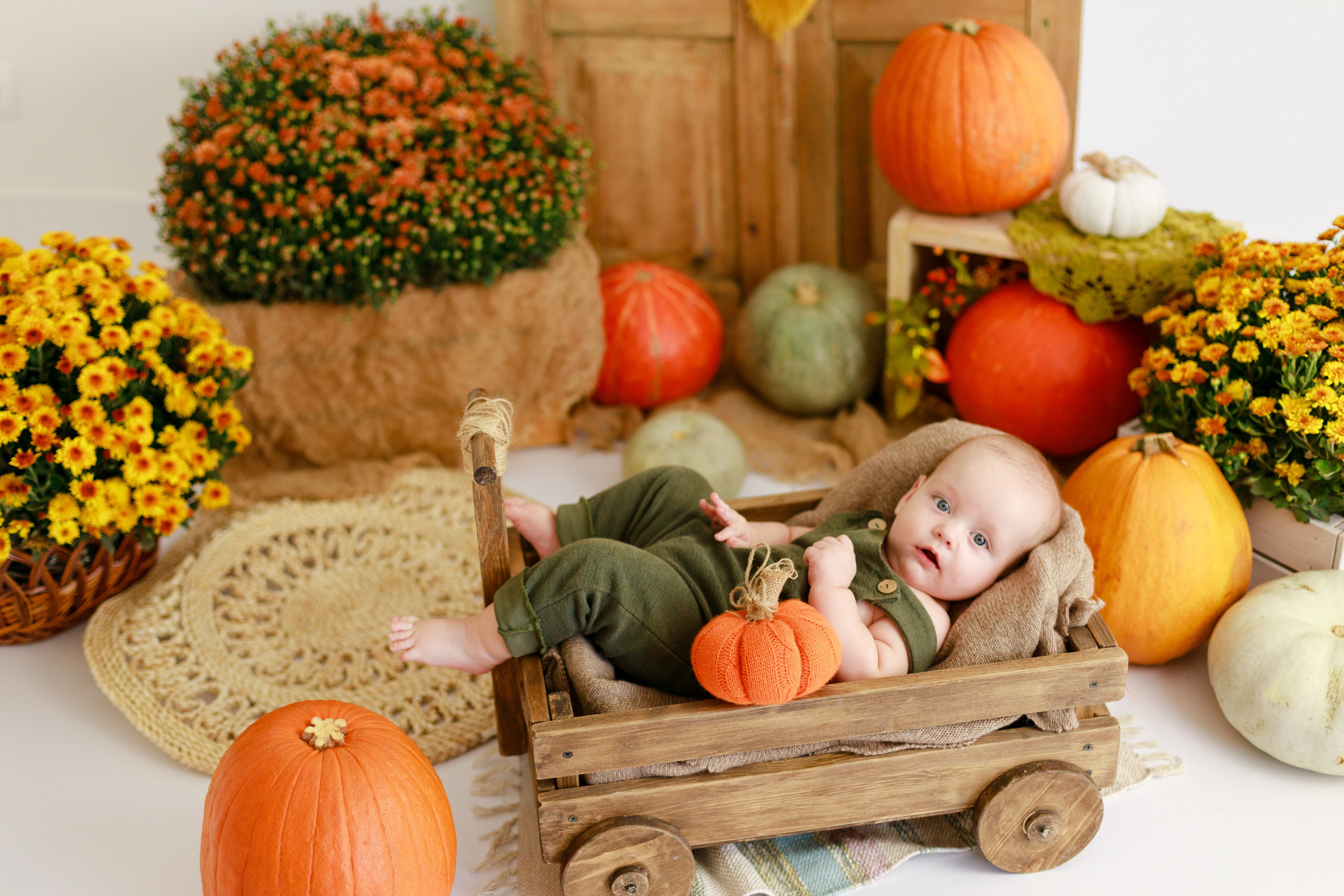 Осенняя детская фотосессия с тыквами и кроликом в Краснодаре. Детский и семейный фотограф в Краснодаре Альбина Морозова