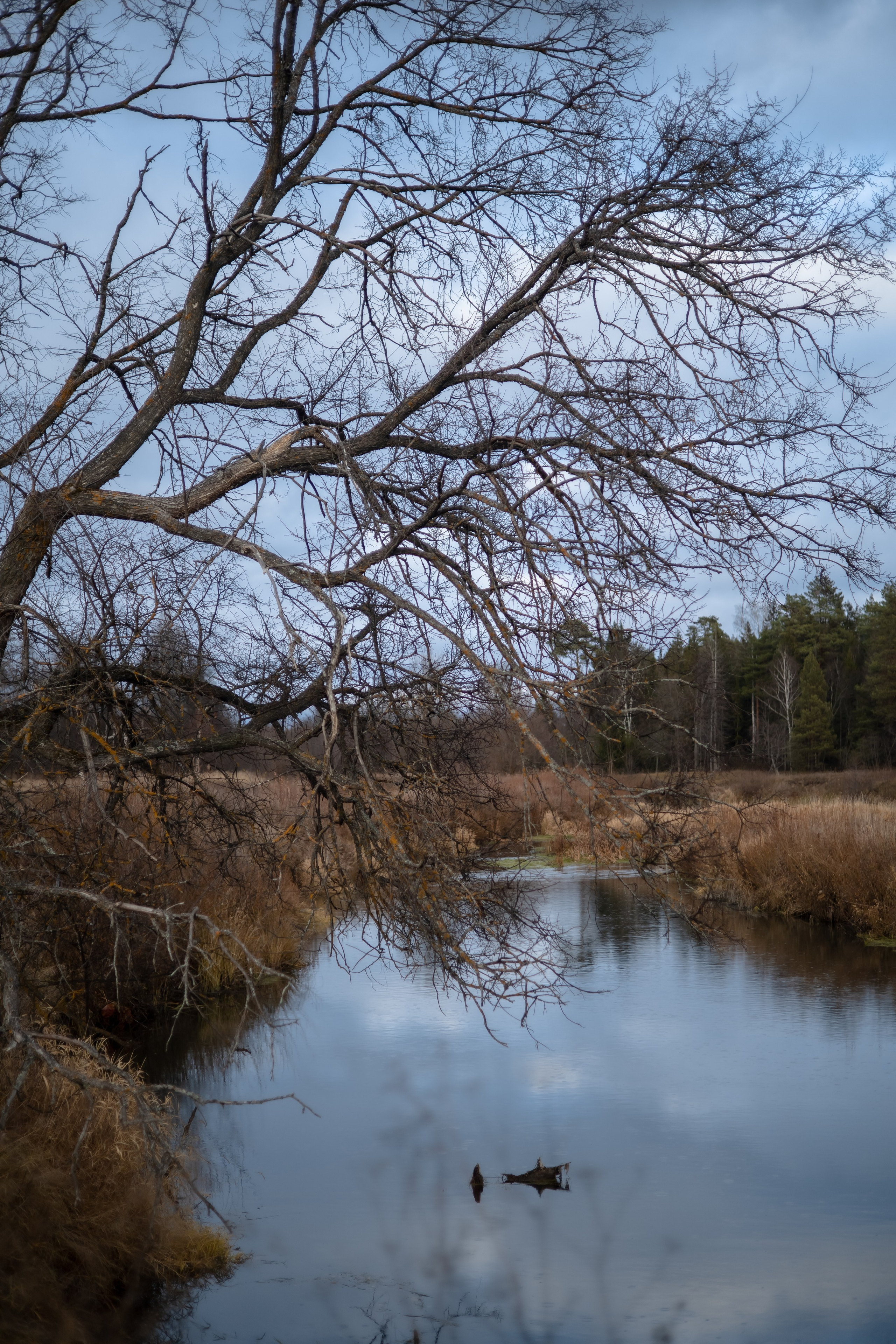 Апайкины. Фотограф Элла Ефимова