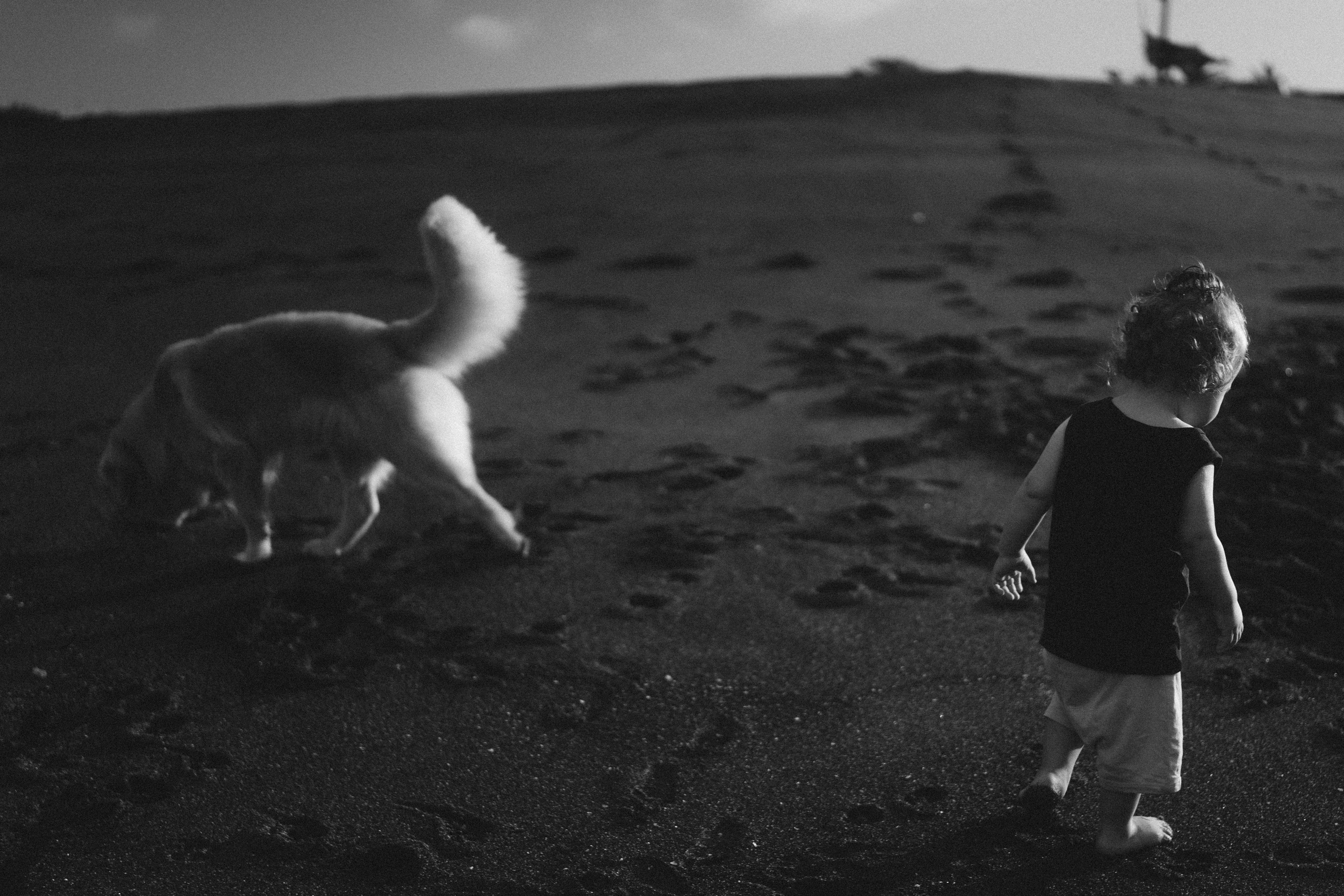 Abdullah, Kate and Daniel. Olga Antipova — photographer