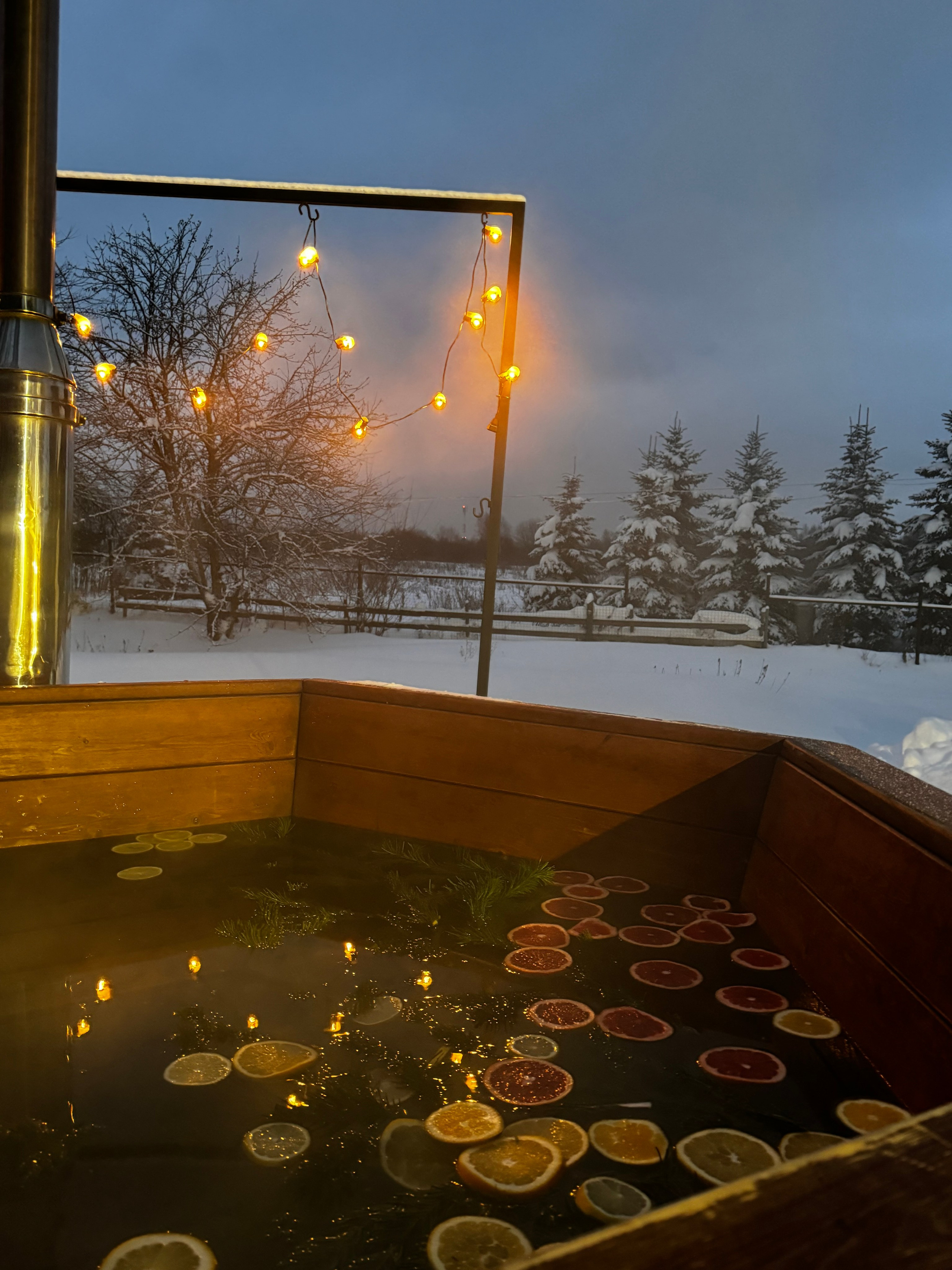 Чан. Организатор загородного отдыха в Переславле Валерия