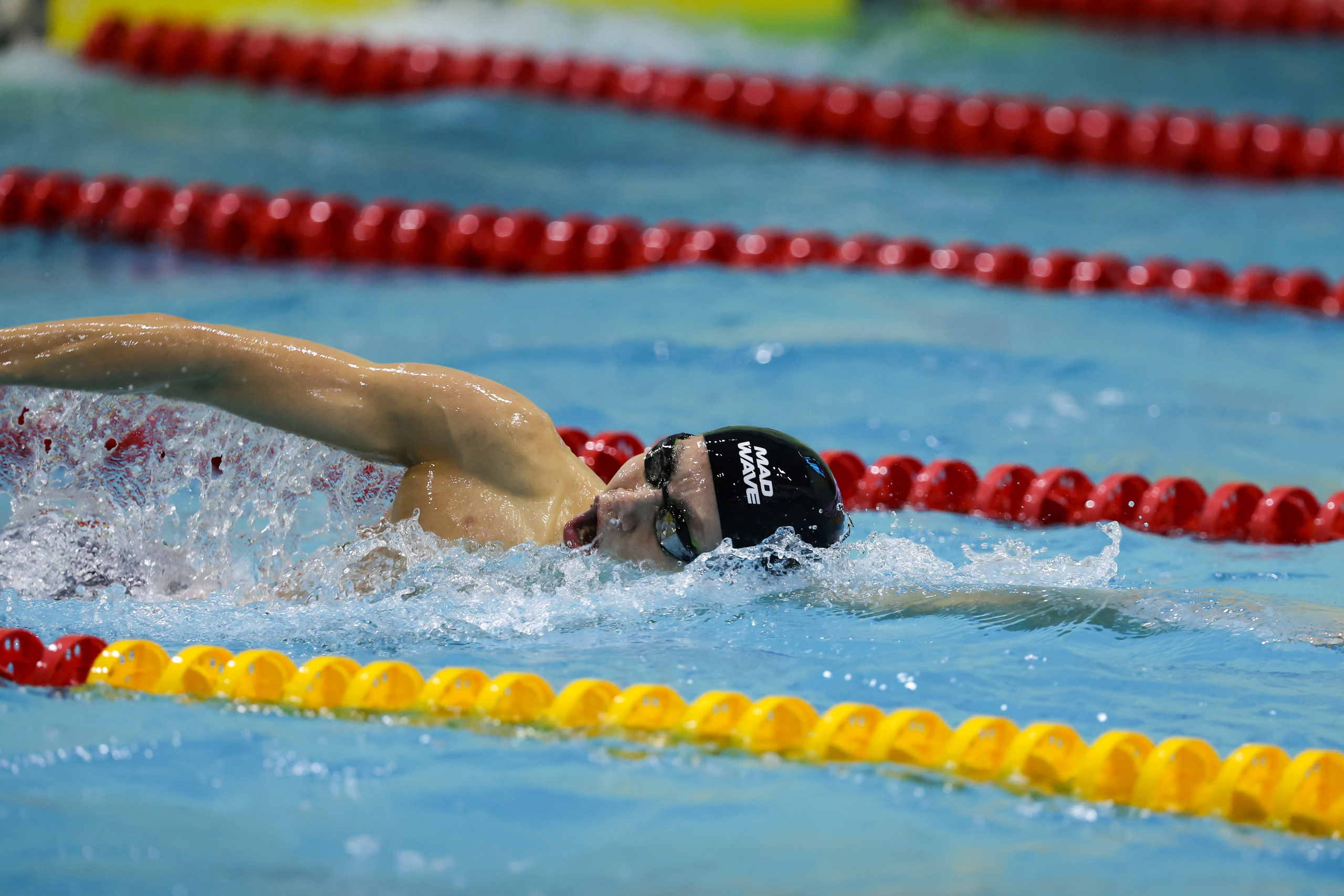 Чемпионат России по плаванию 25 м 21-26.11.2024. Спортивный и репортажный фотограф Антон Тереханов