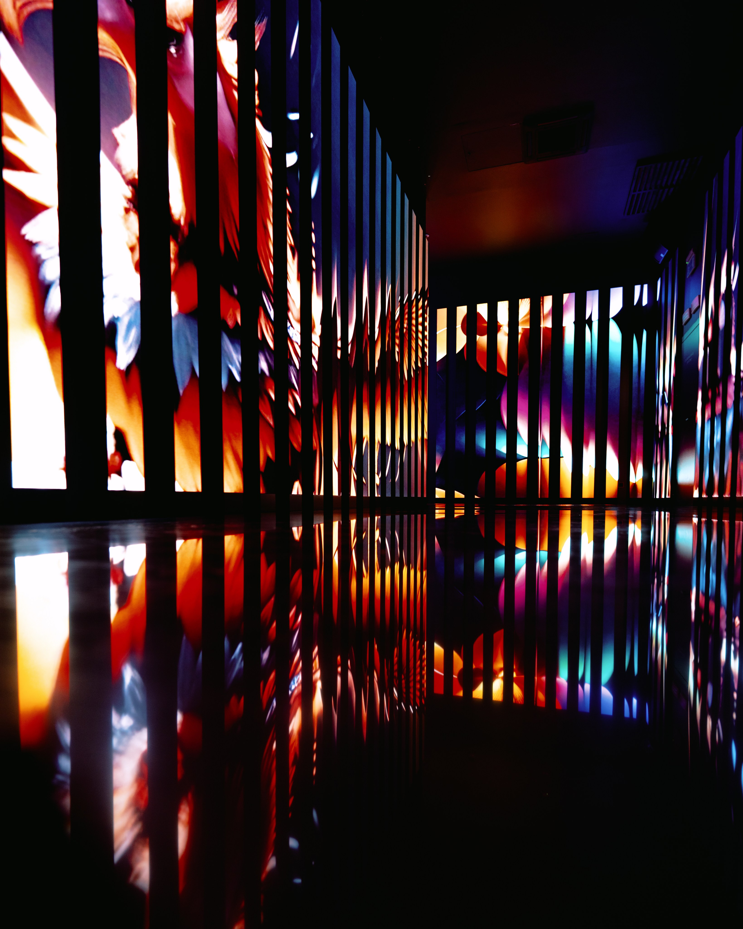 Generative Gallery & Luminar X, Making Magic. @tomrus: Рустам Шагиморданов — фотограф