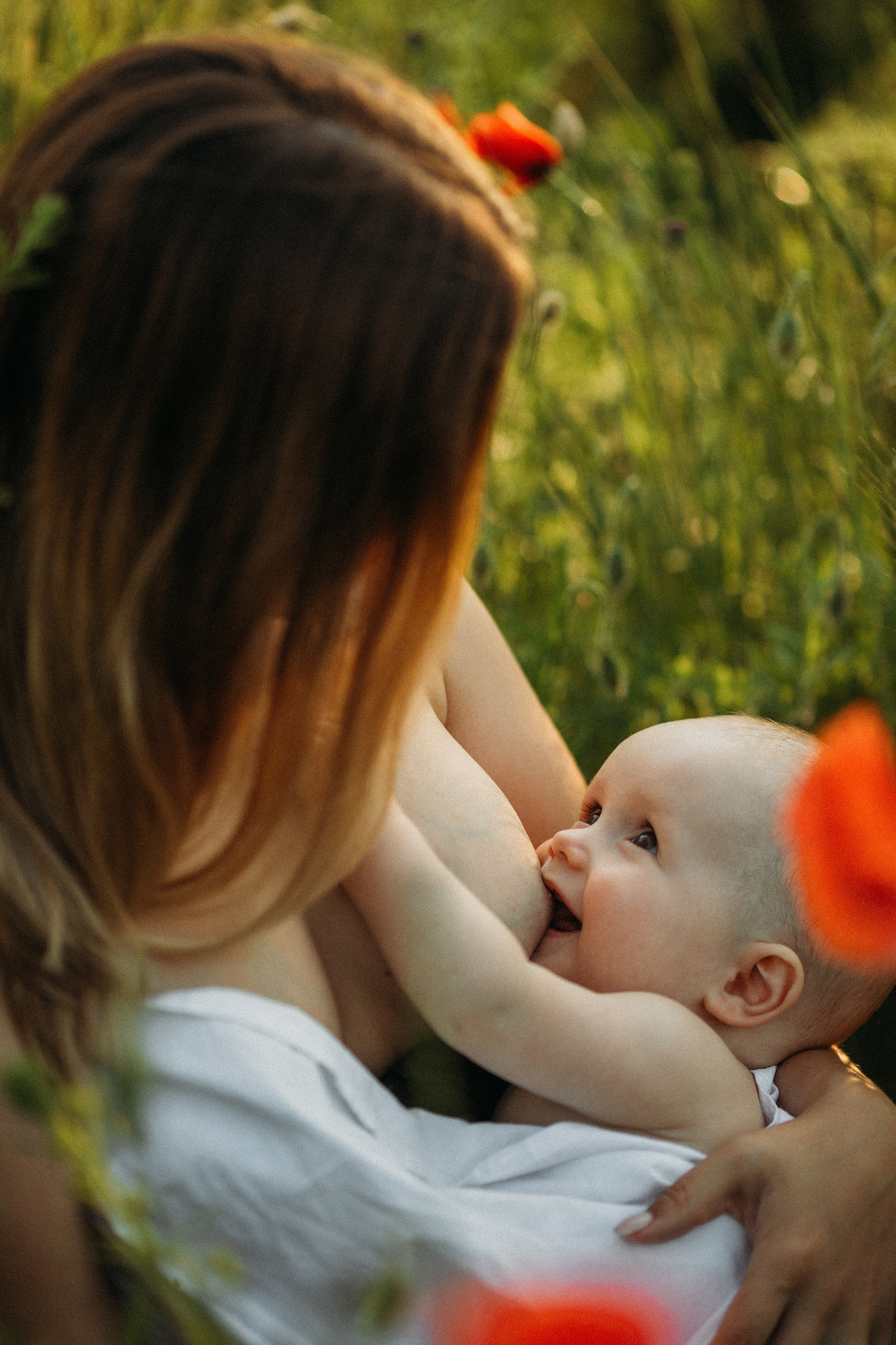 Семейный фотограф Елена Клименко (Sunlight)