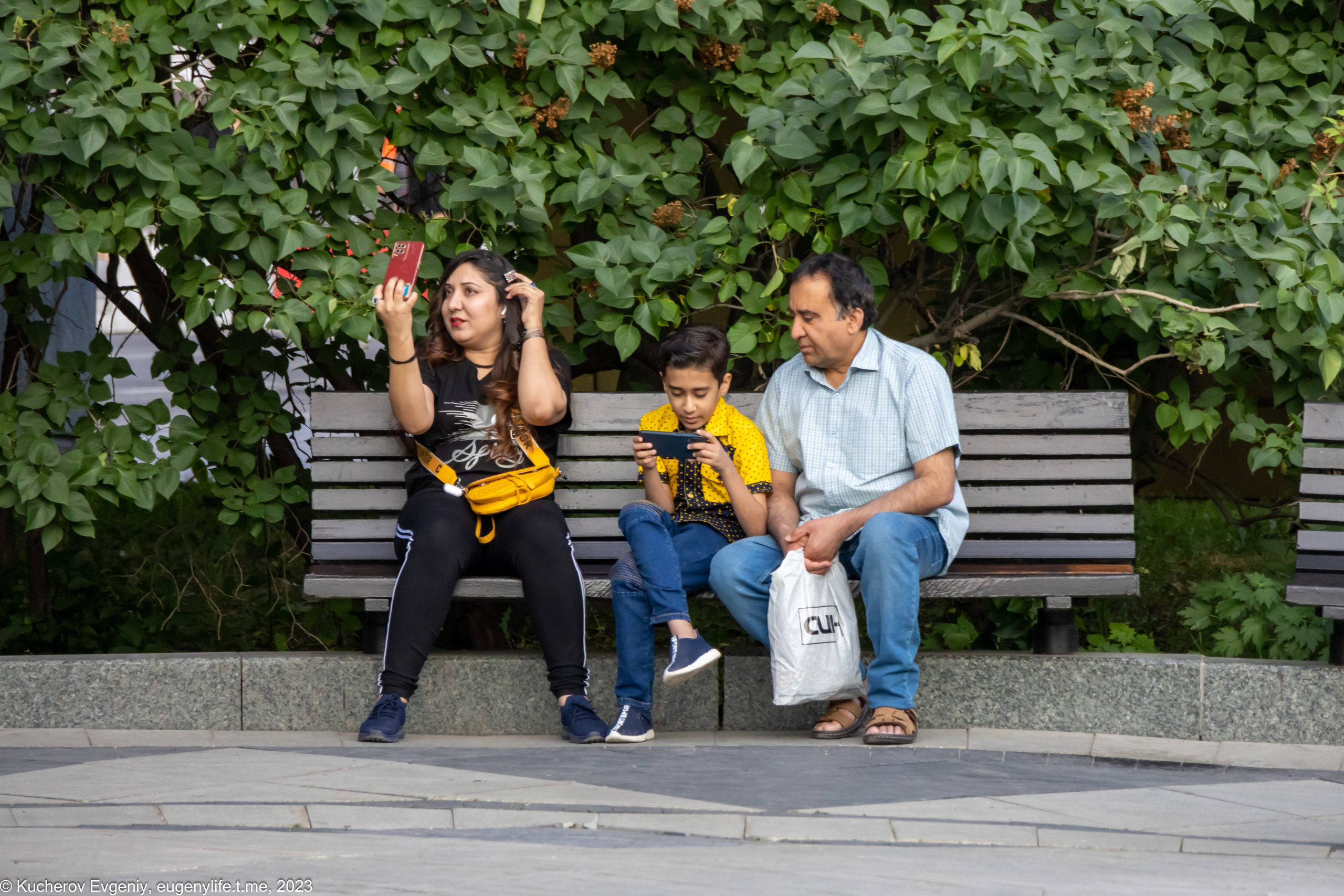 Скамейки. Кучеров Евгений. Фотограф