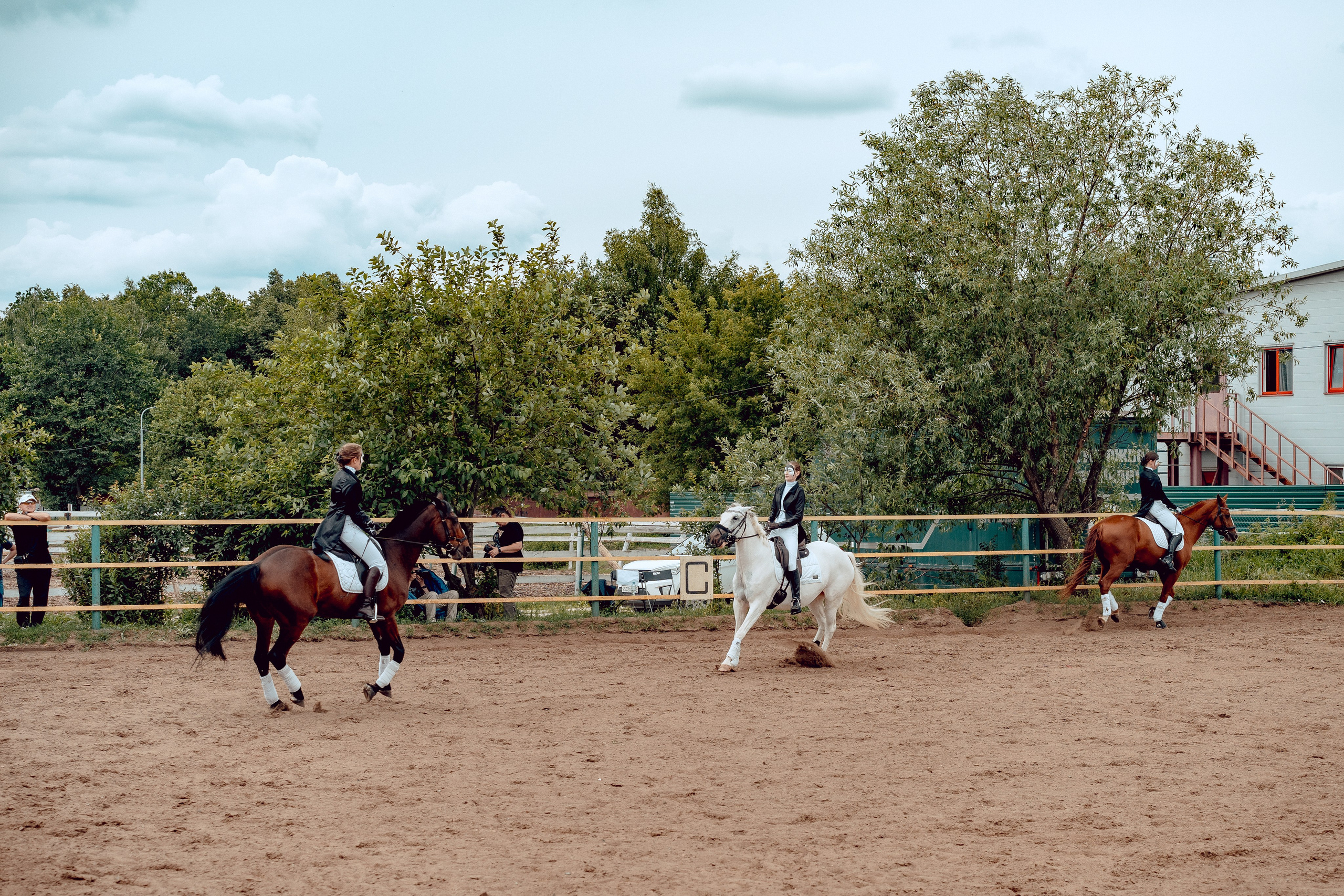 Hourse. Портретный и семейный фотограф в Москве/Видное