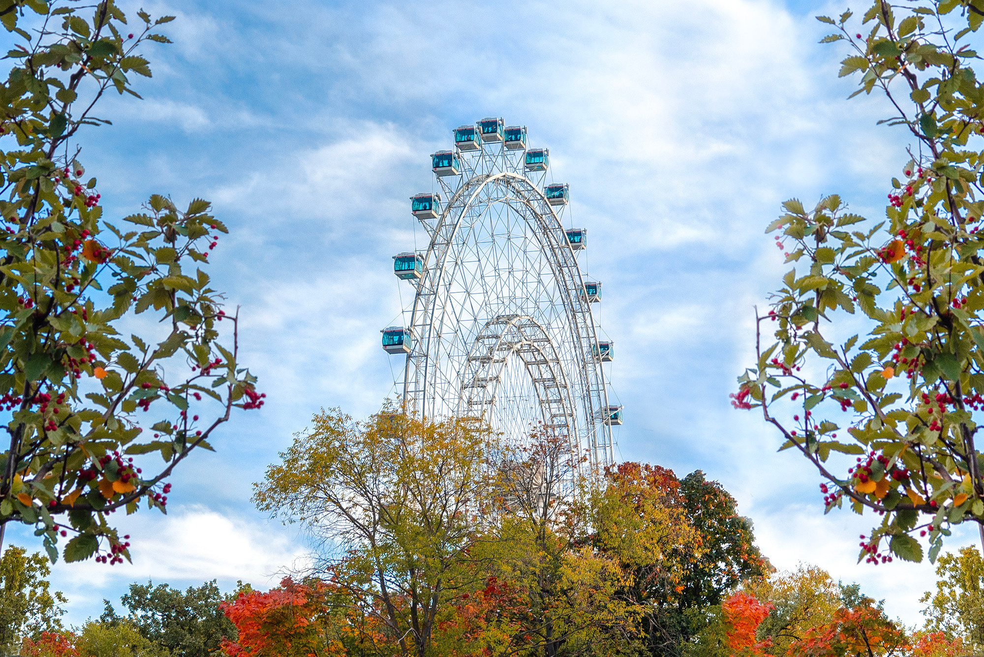 Природа. Ваш личный фотограф Марина Волкова