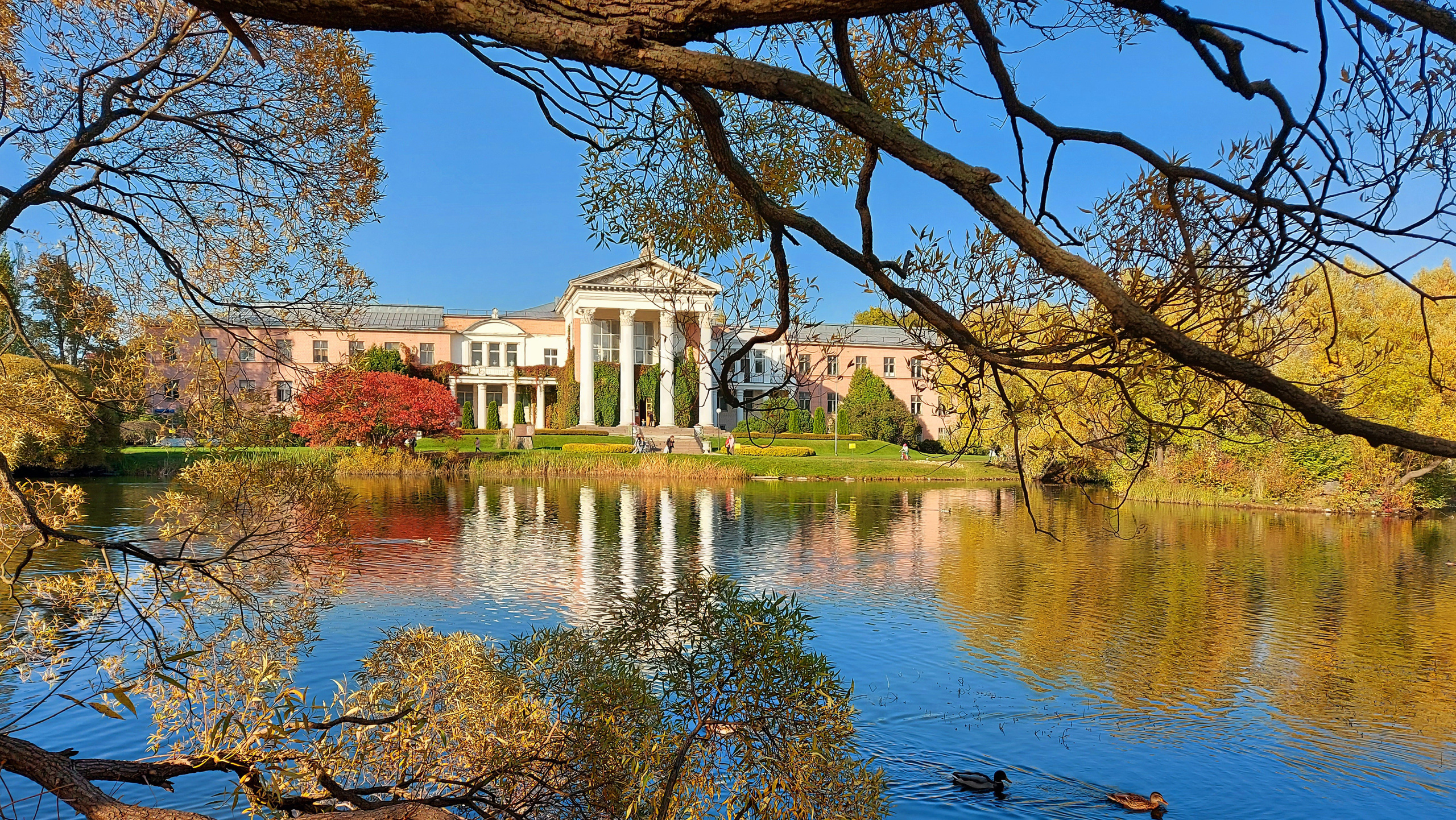 Природа. Ваш личный фотограф Марина Волкова