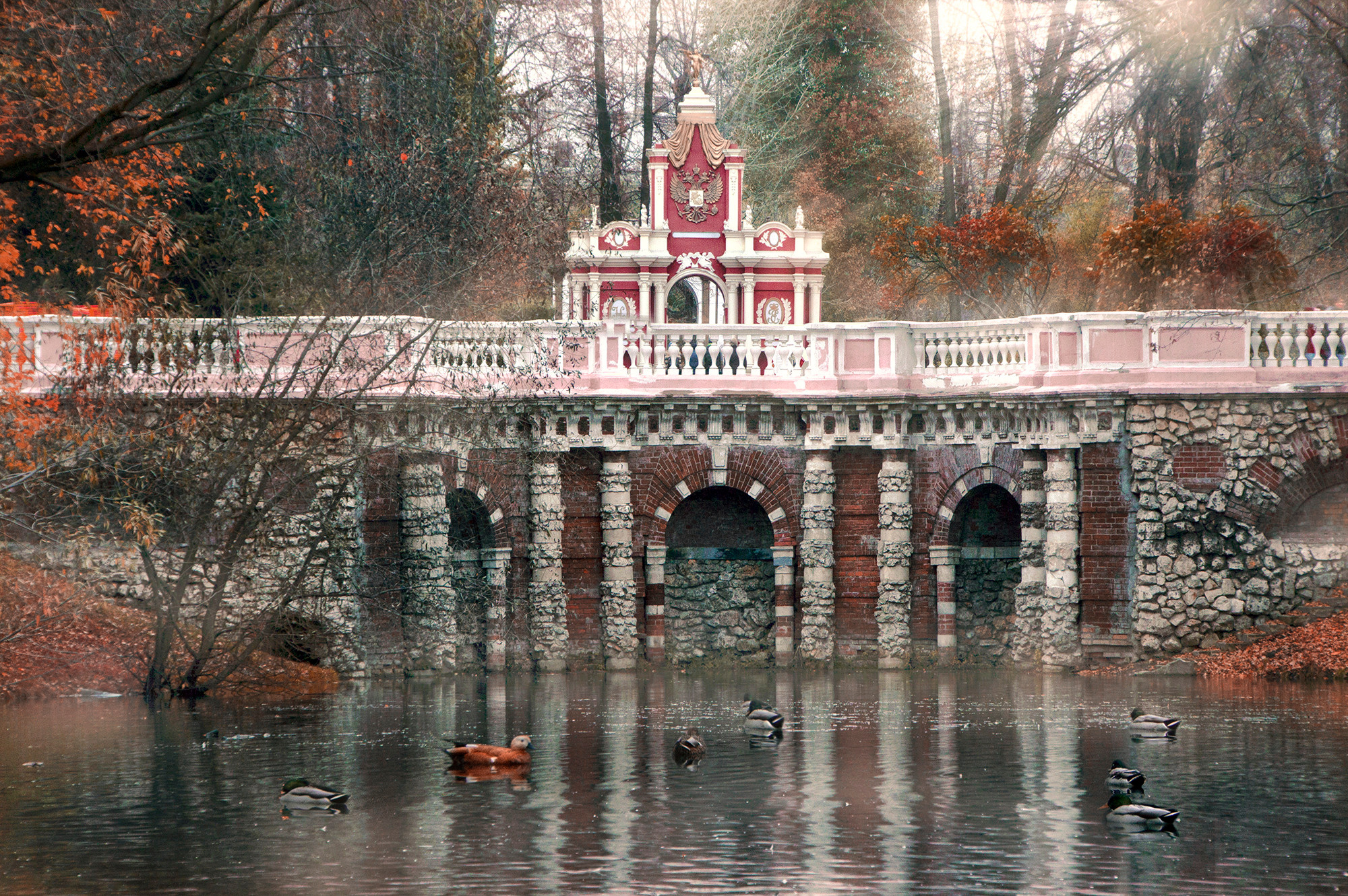 Природа. Ваш личный фотограф Марина Волкова