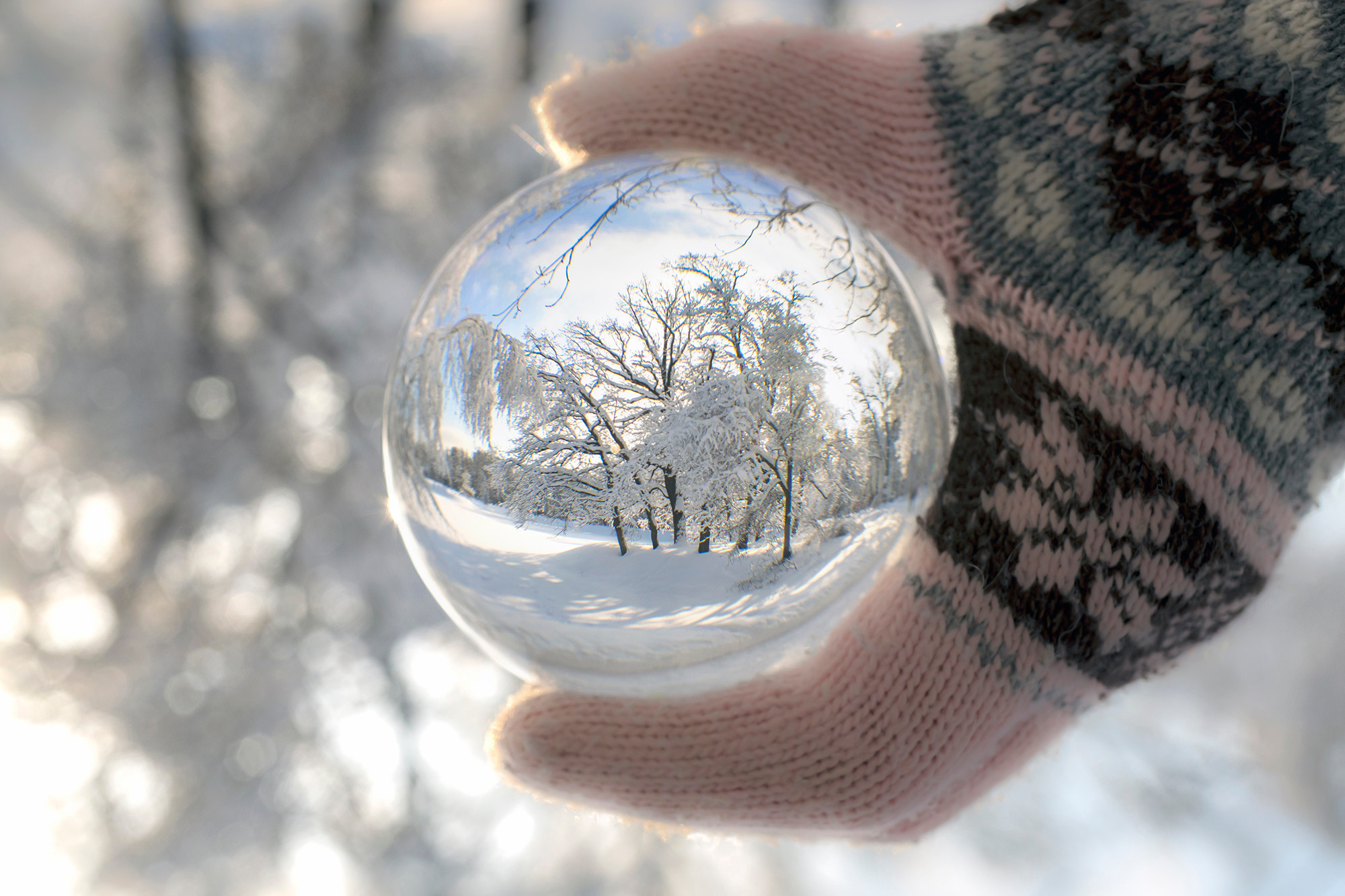 Природа. Ваш личный фотограф Марина Волкова