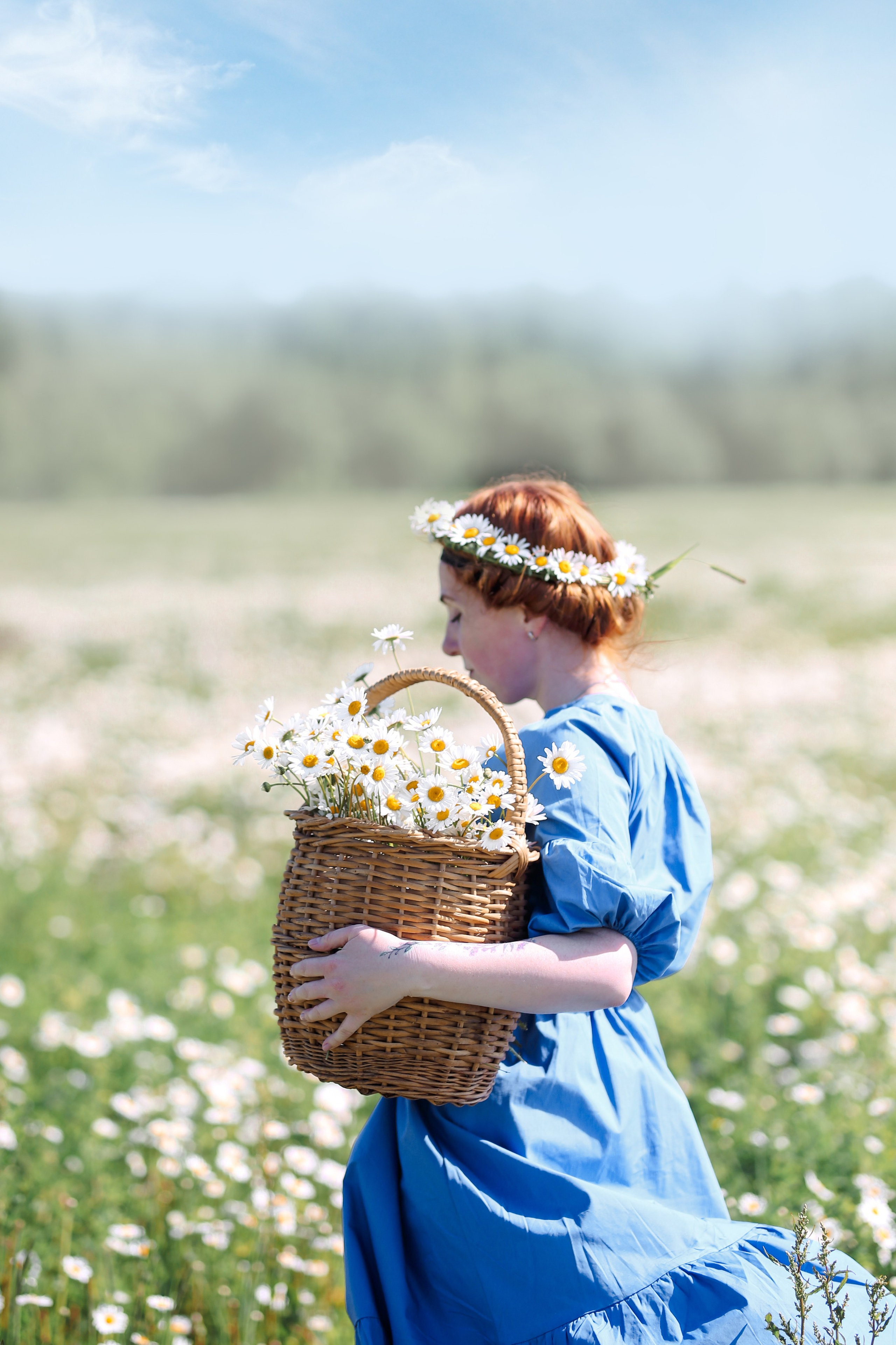 Ромашковое поле. Фотограф Анастасия Залевская