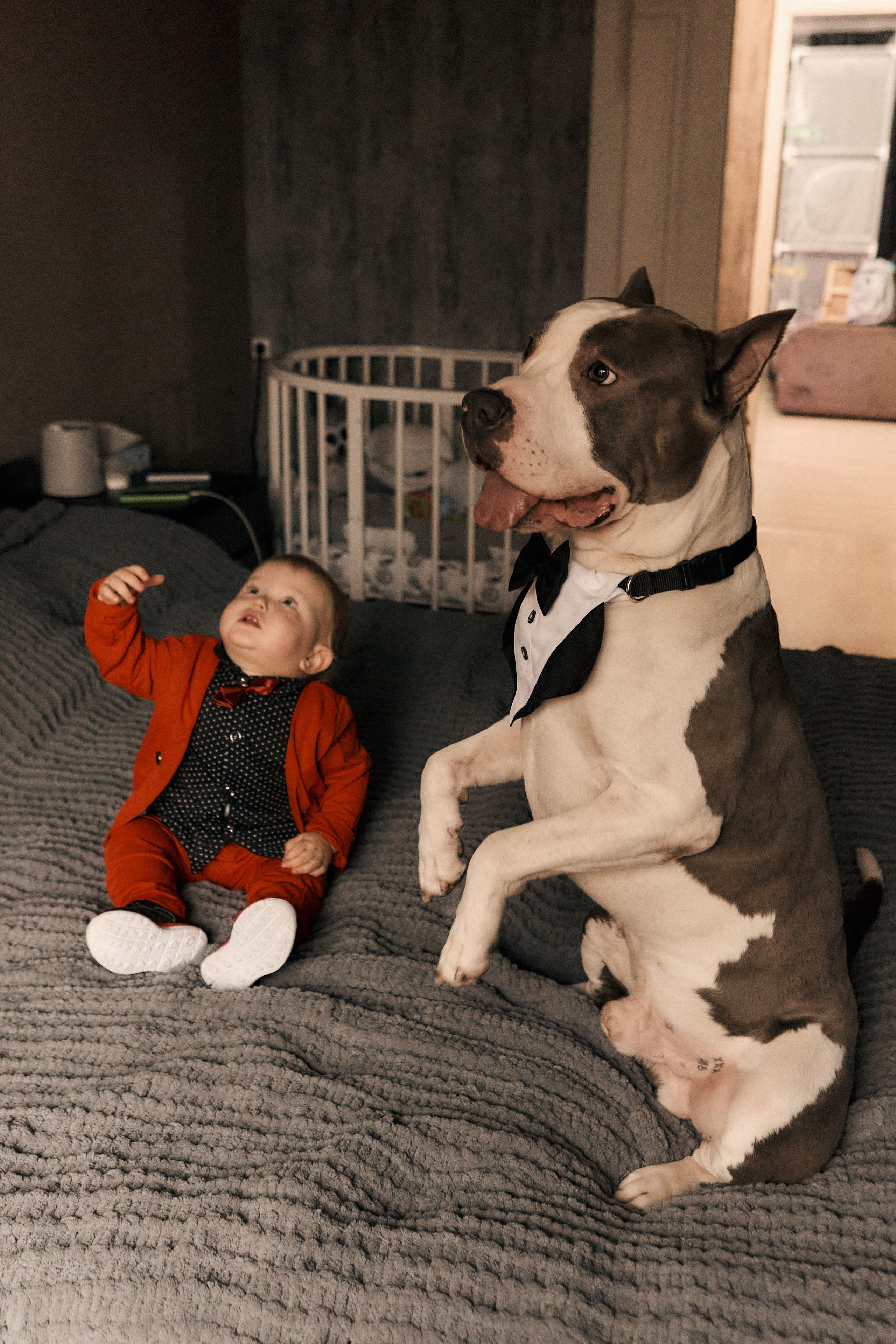 Семейная фотосессия дома и на прогулке в Москве