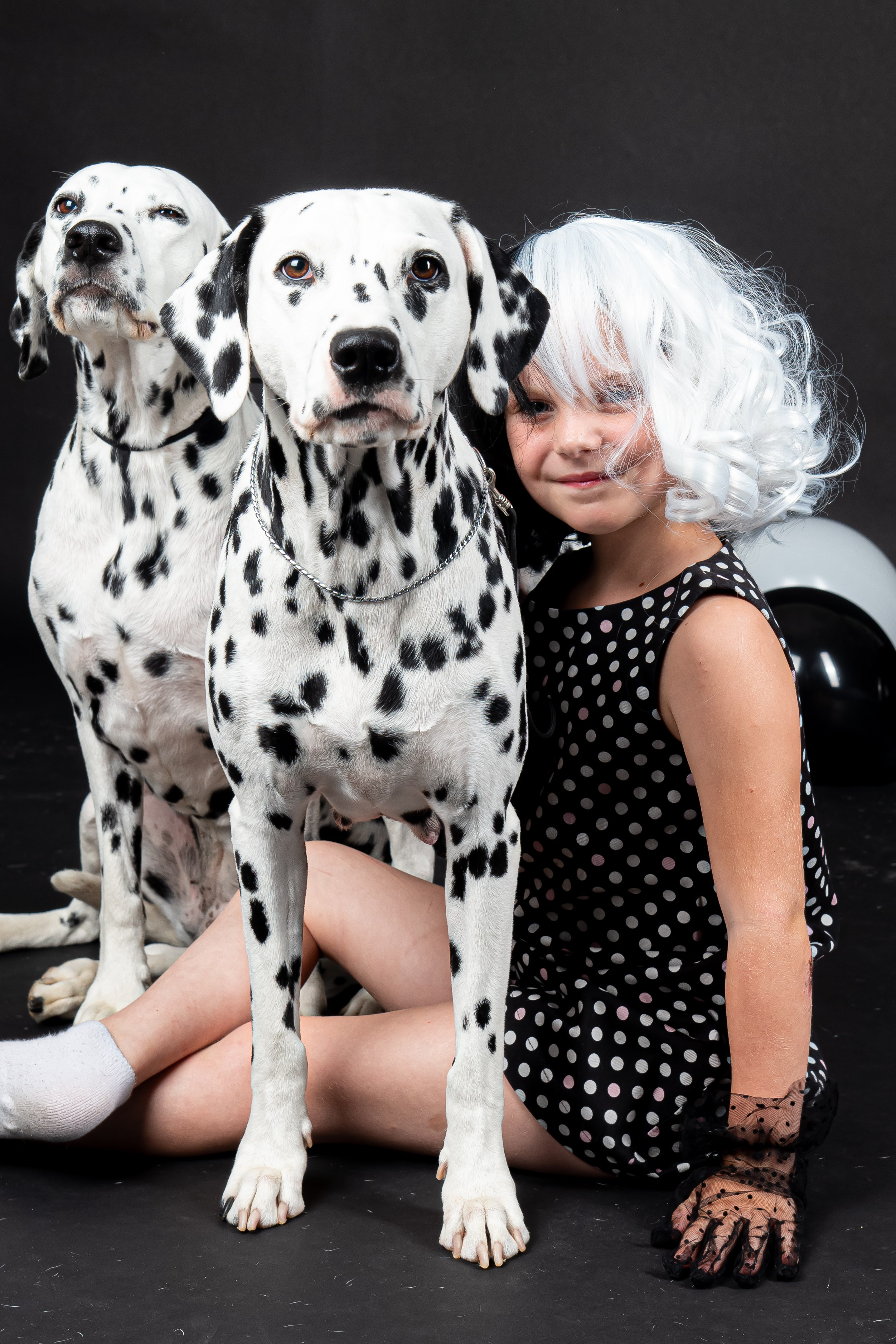 Далматины 2024. Фотограф на Камчатке Анна Моргачёва. Семейные и детские съёмки