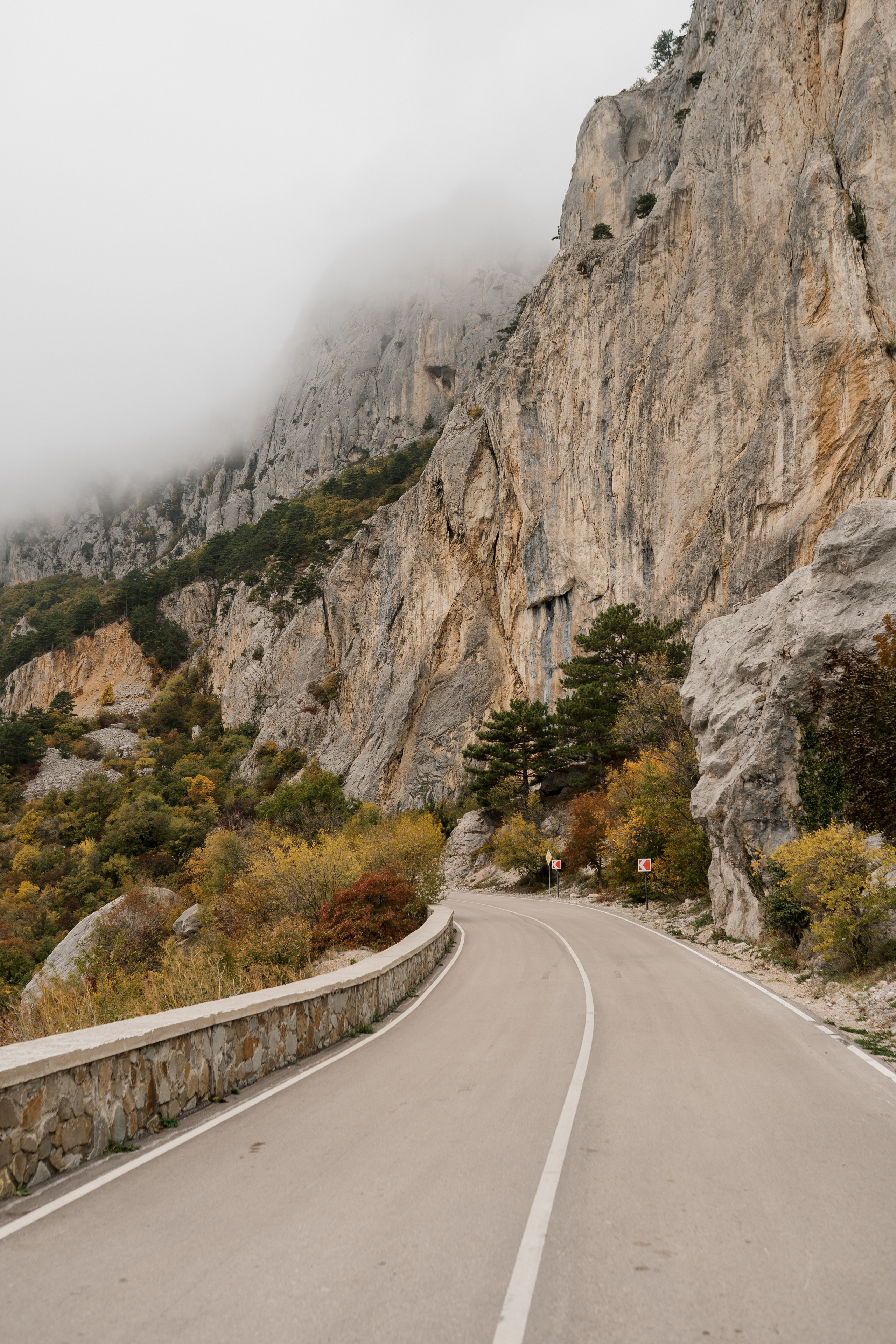 Дмитрий и Дарья. Главная