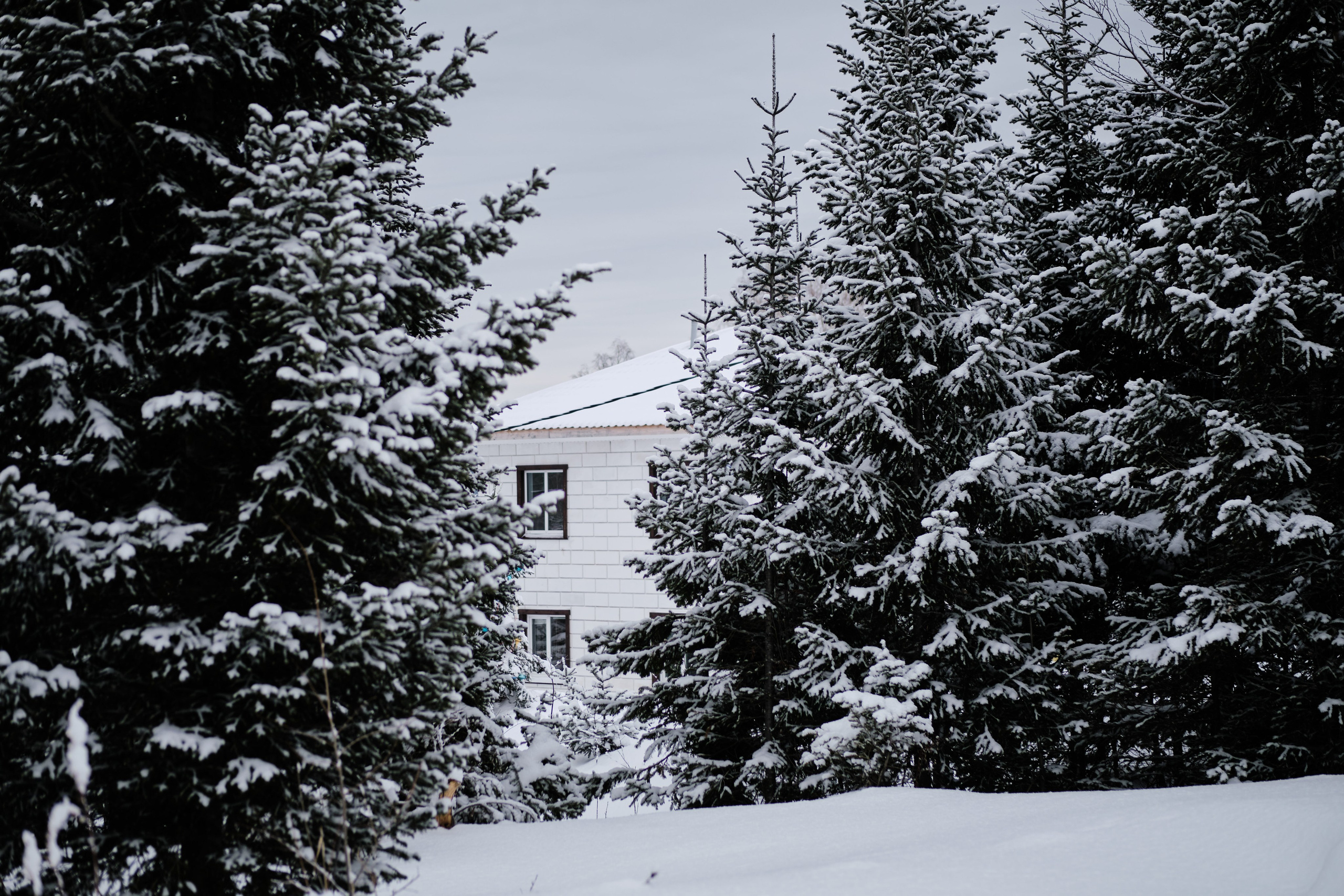 Ледовая 5. Свадебный и семейный фотограф в Новокузнецке Иван Иванов