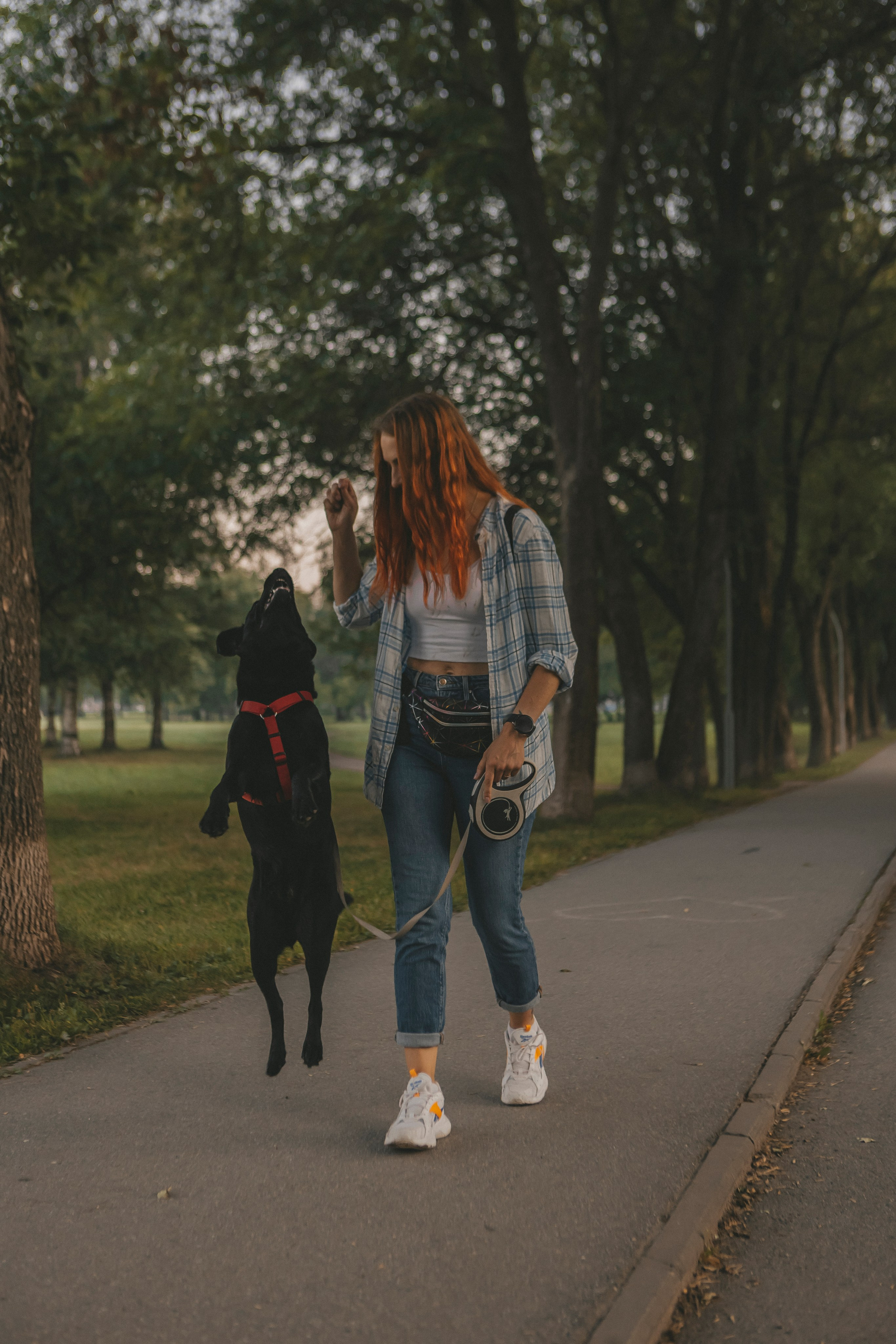 Саша и Дана. Фотограф-анималист в Санкт-Петербурге Алина Яхонт