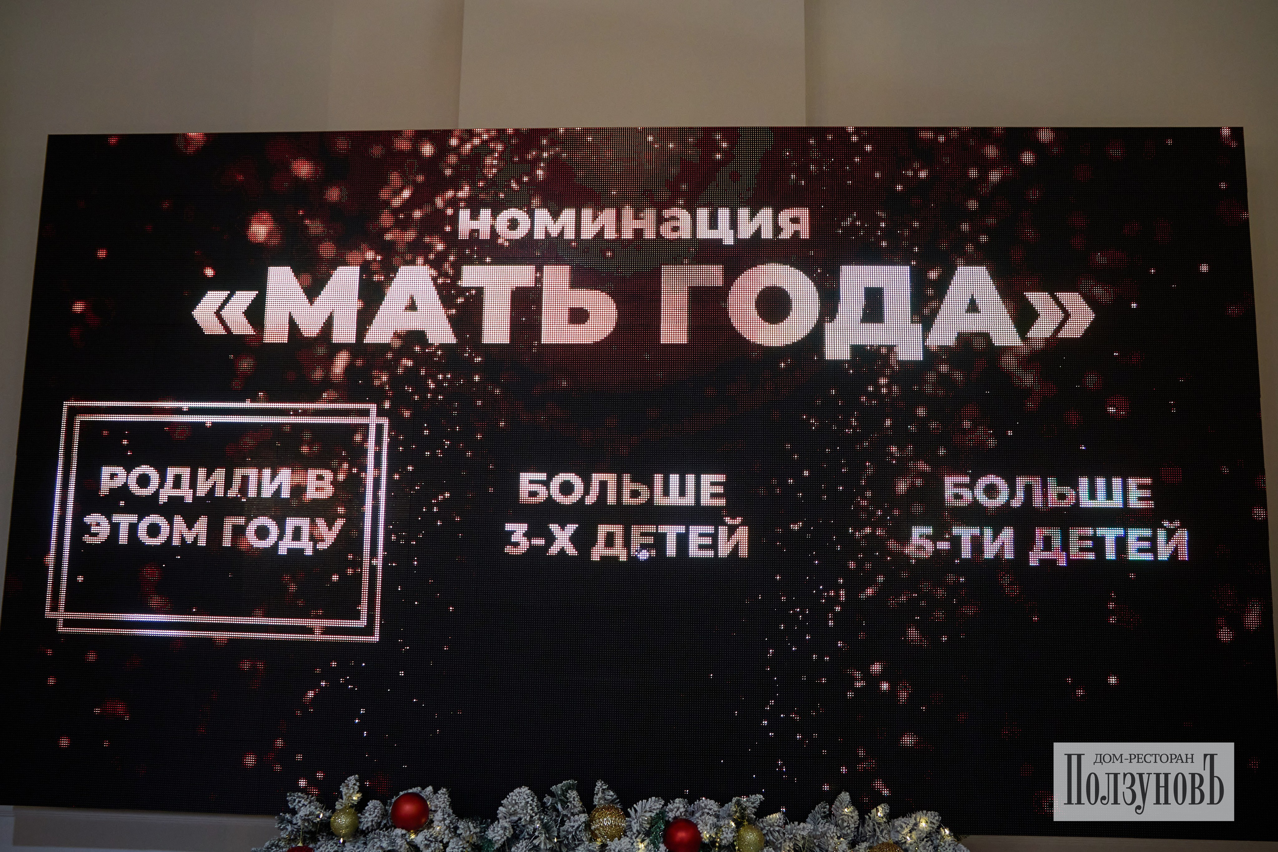 Новый Год Ползунов. Фотограф Барнаул Фатыхов Тимур