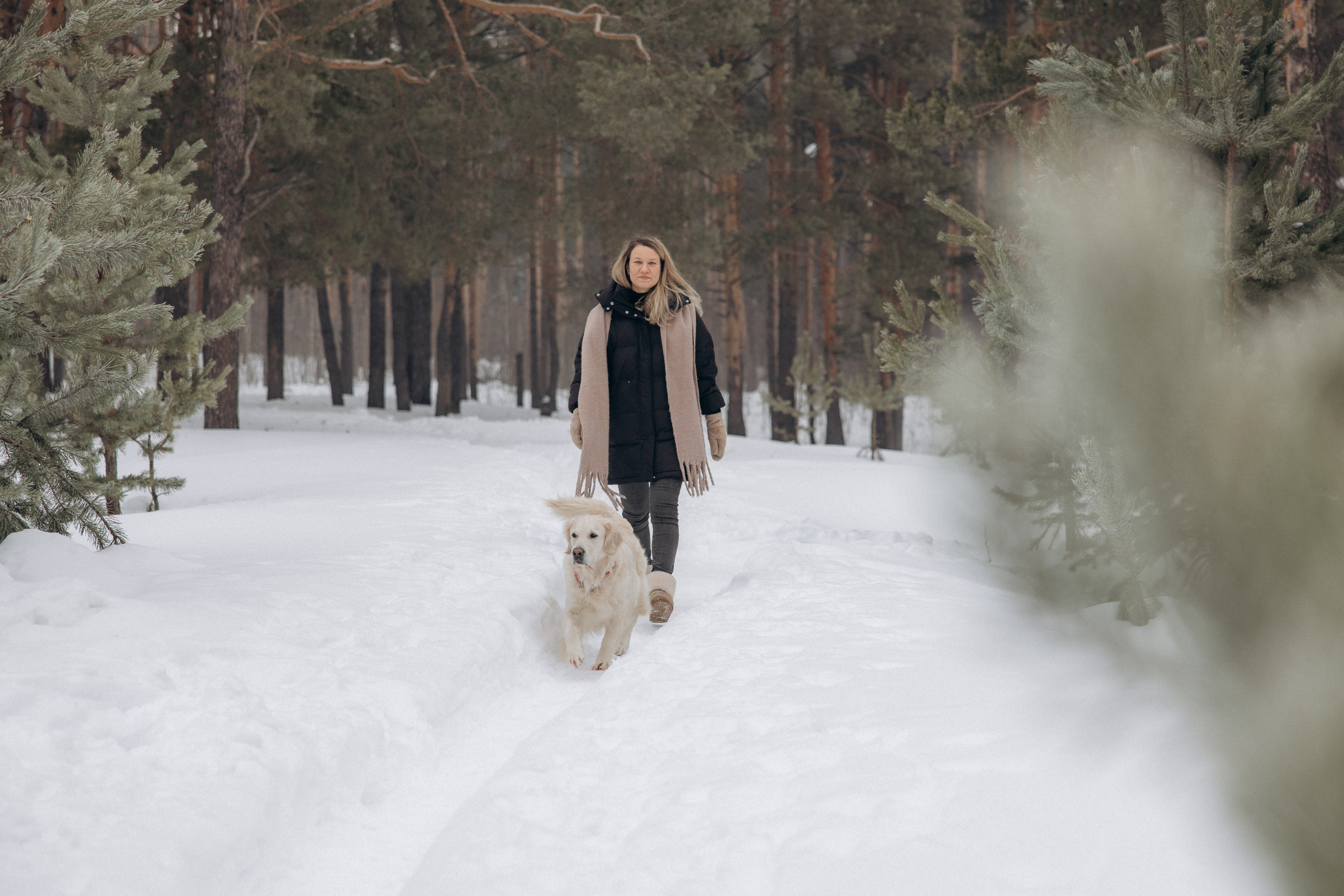 Зима. Лес. Татьяна и Делла. Фотограф анималист в Казани Алина Сулейманова. Фотограф животных