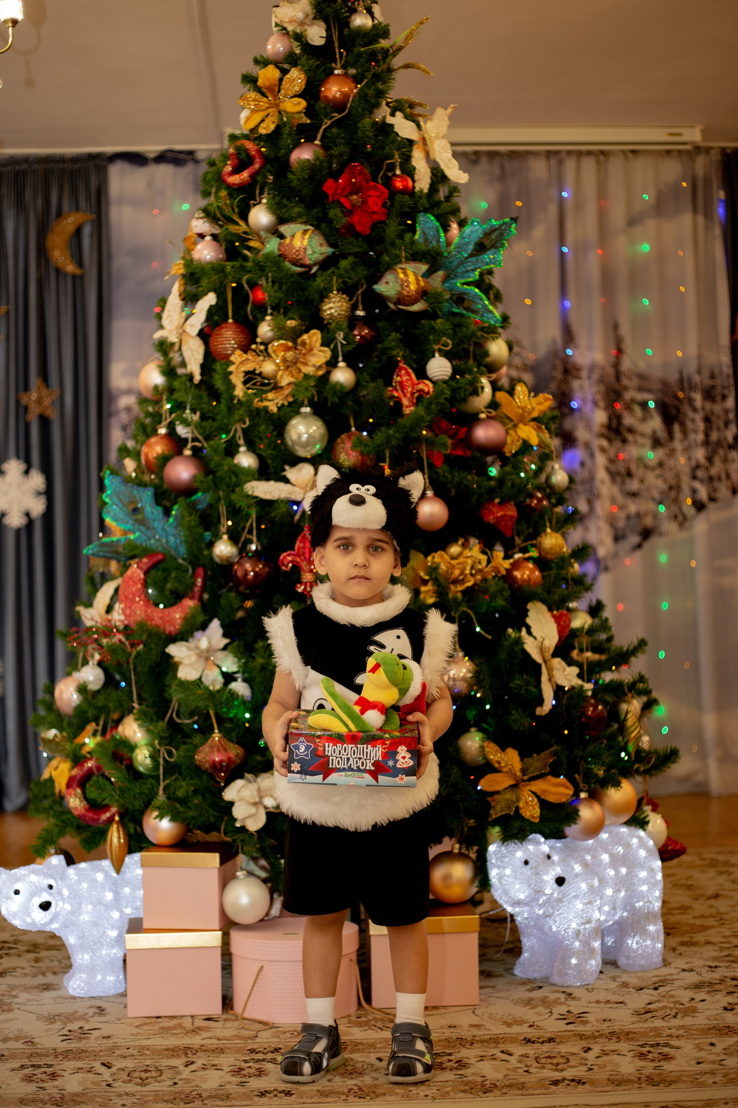 Утренник в детском саду. Https://malovafoto.ru