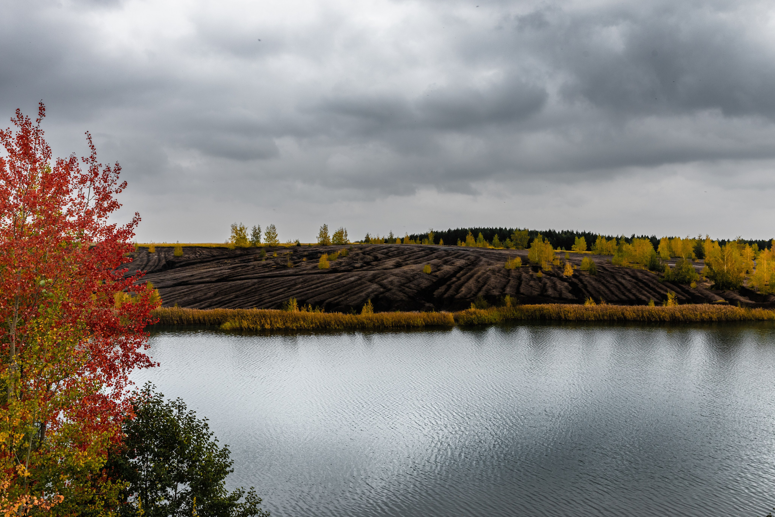 Кондуки. Октябрь 2023. Фотографии