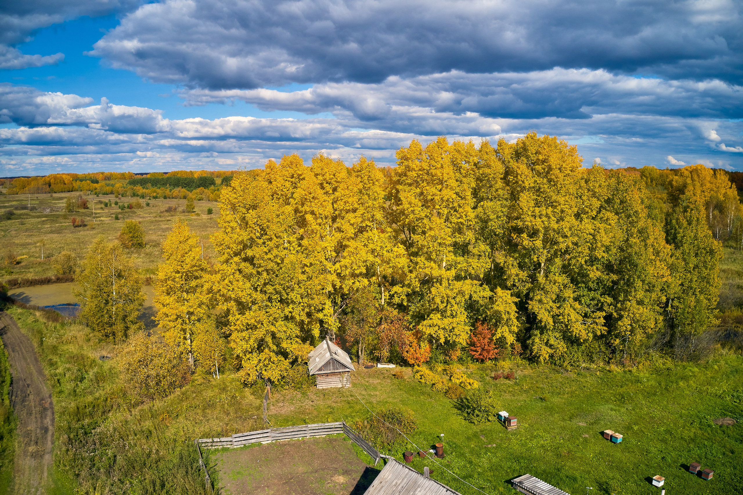 Съемка в полете. DMITRY MOISEENKO — фотограф, художник, топ-стилист
