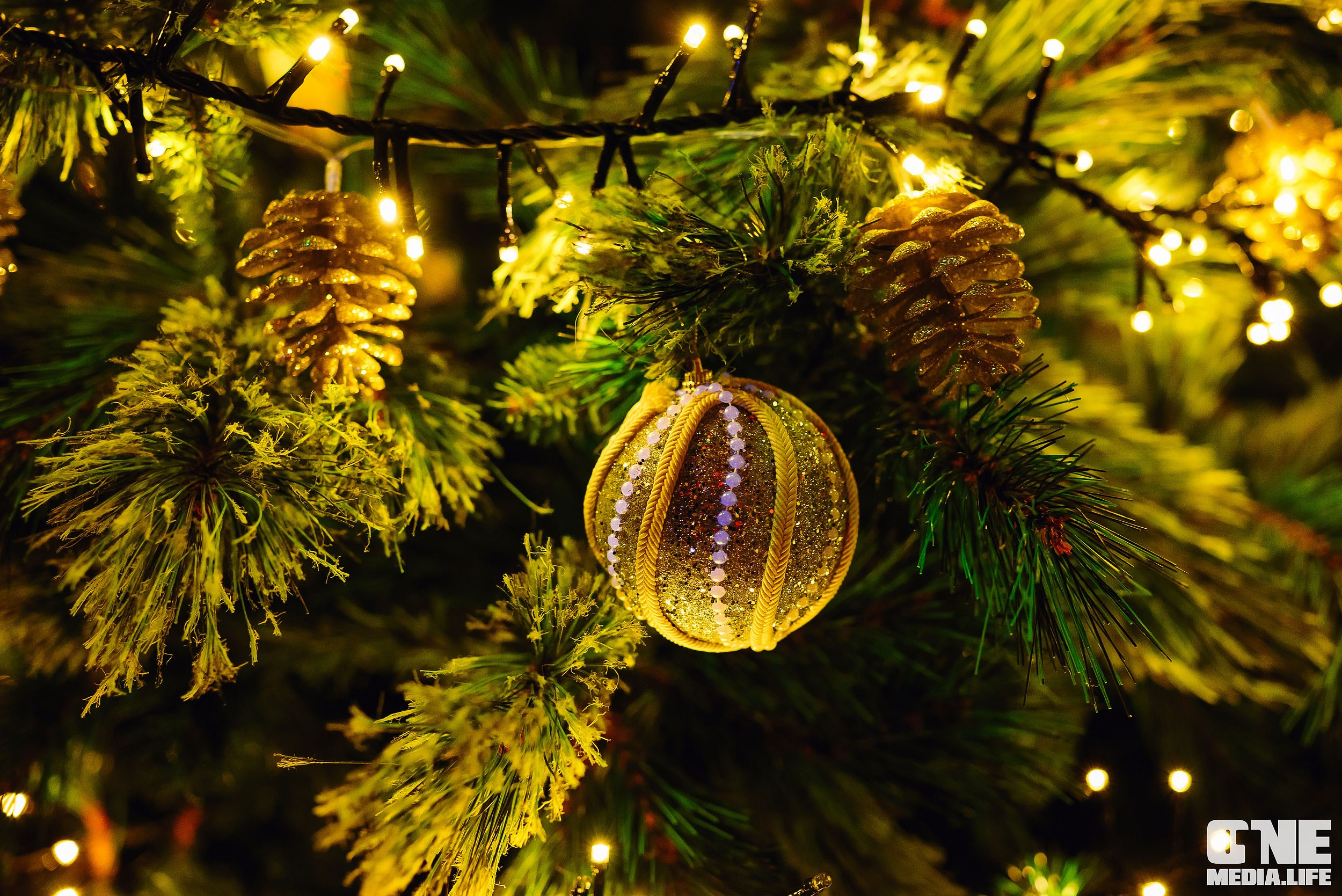 Christmas Karaoke Show в Эйфории. Часть 2. One Media Life: фоторепортажи, фотоотчеты с мероприятий и заведений