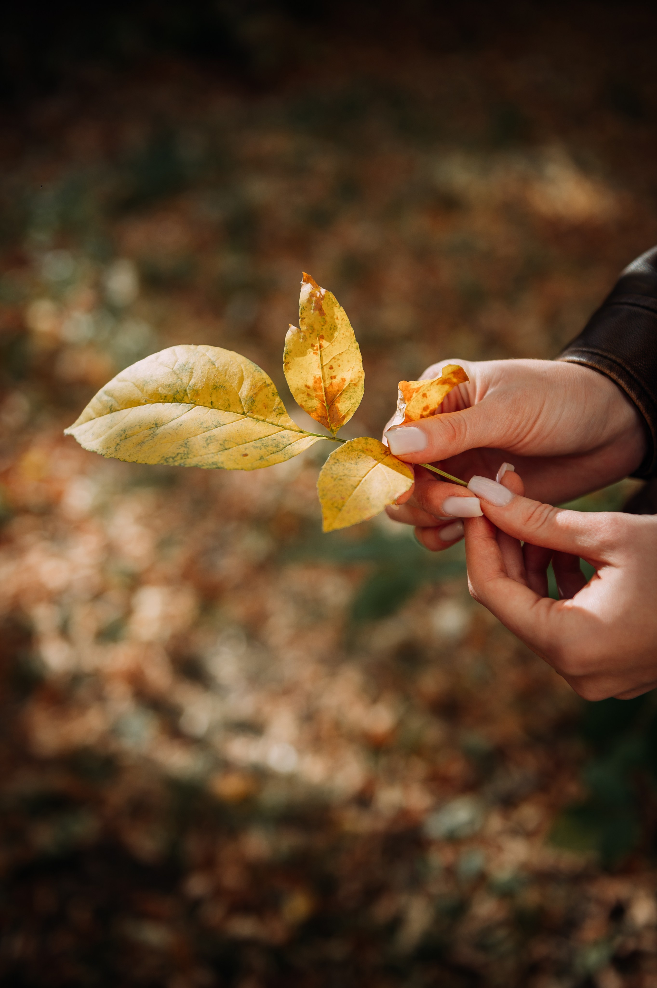 Эля. Свадебный фотограф Алёна Замотаева
