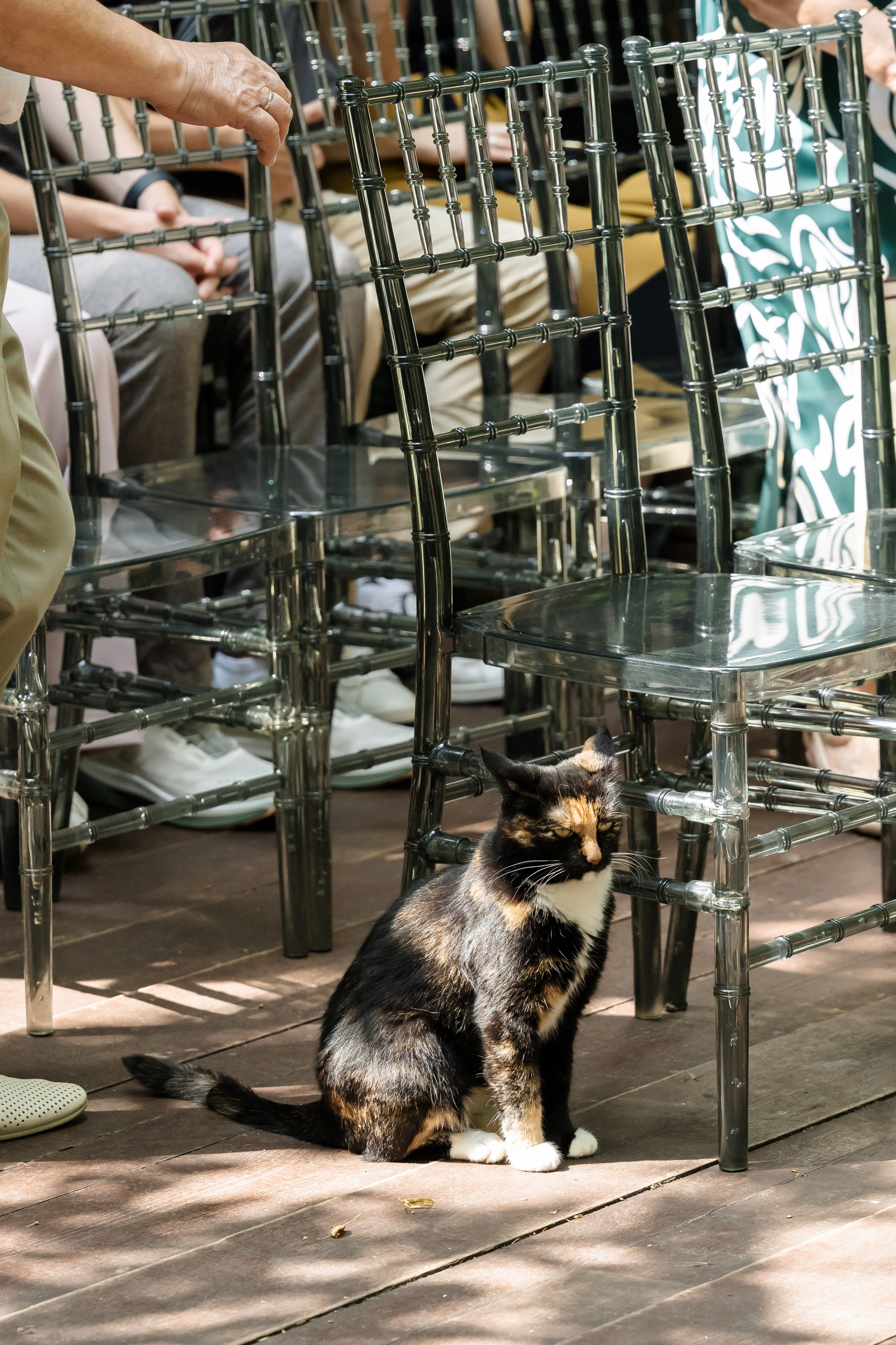 Свадьба Паши и Камилы. Свадебный фотограф в Москве Яна Деньгина