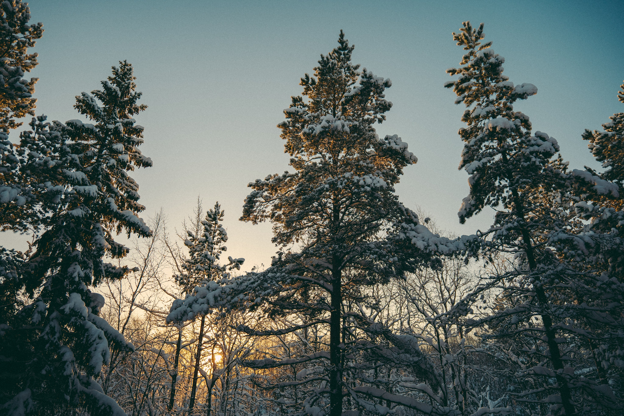 КАРЕЛИЯ / ЗИМА. Создание контента | Фото | Видеосъемка | Александр Ярков