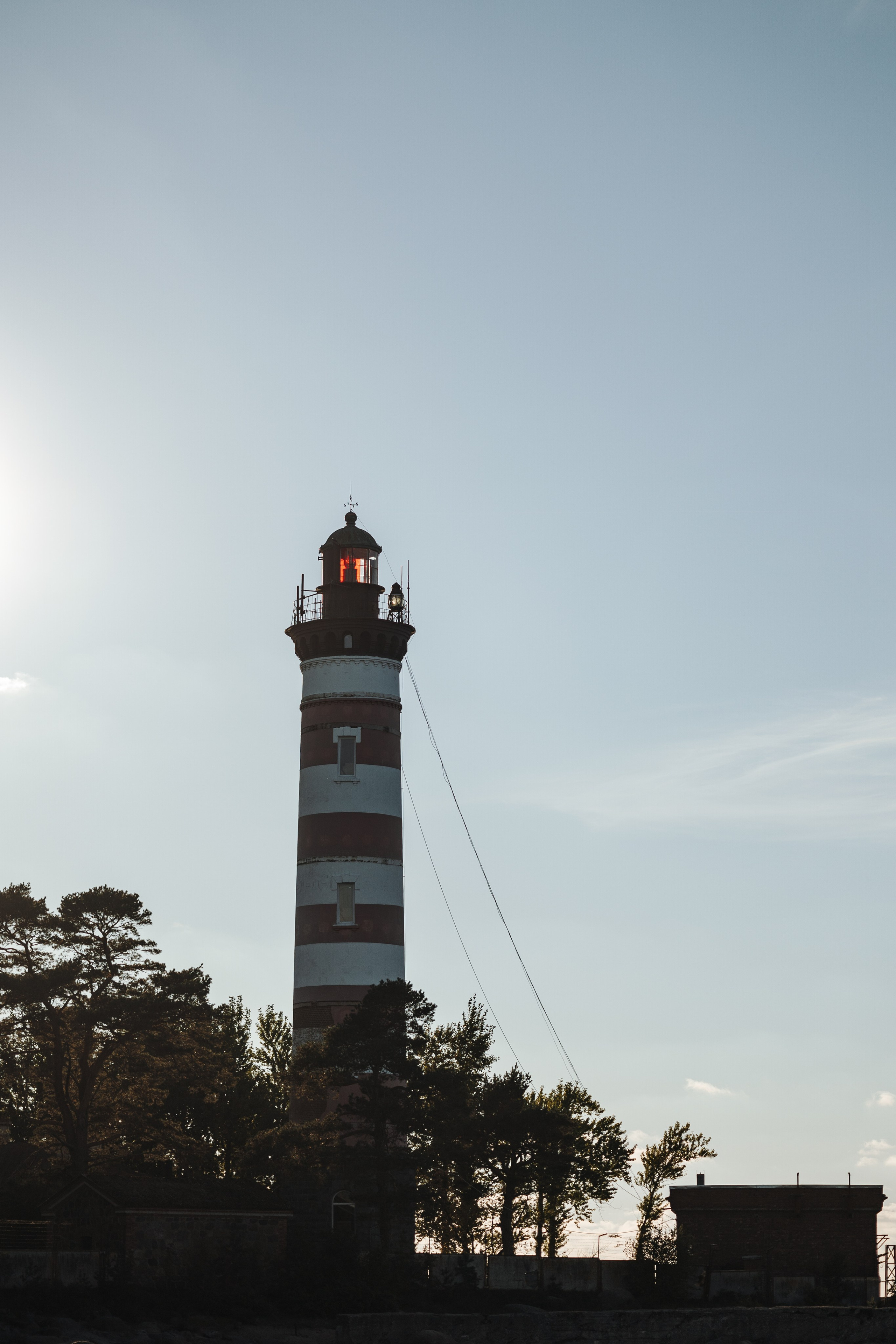 Верон, Гарри и их семья. Фотограф — Анималист | Санкт-Петербург