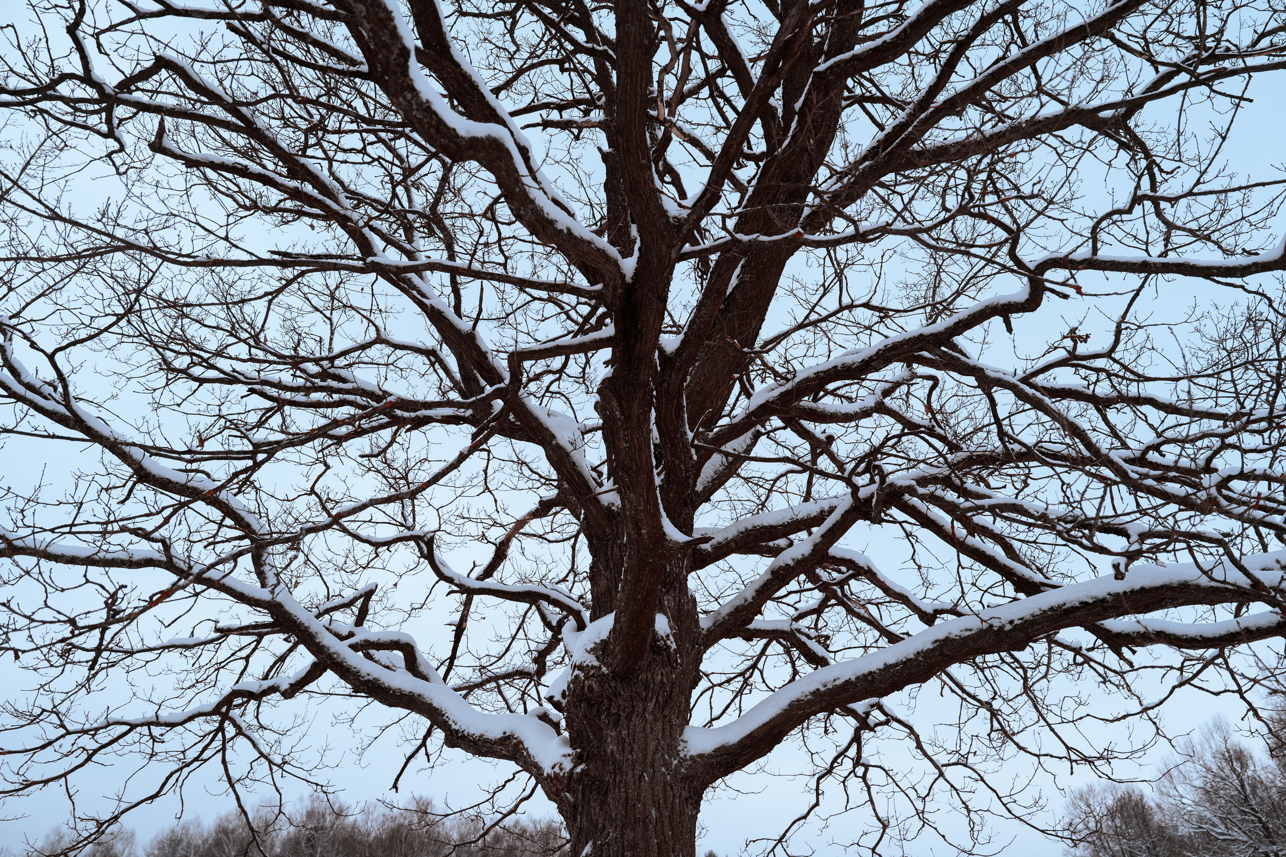 Loweliness. Backstage. @tomrus: Рустам Шагиморданов — фотограф