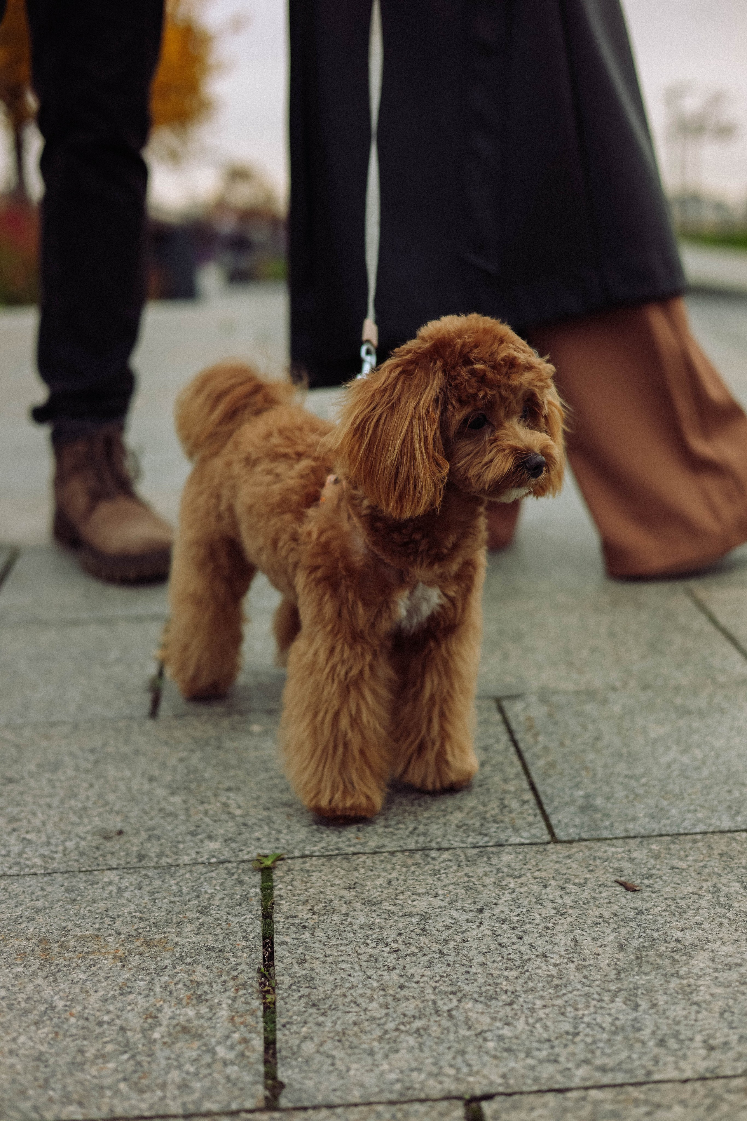 Кира. Фотограф в Москве Анастасия Калинина